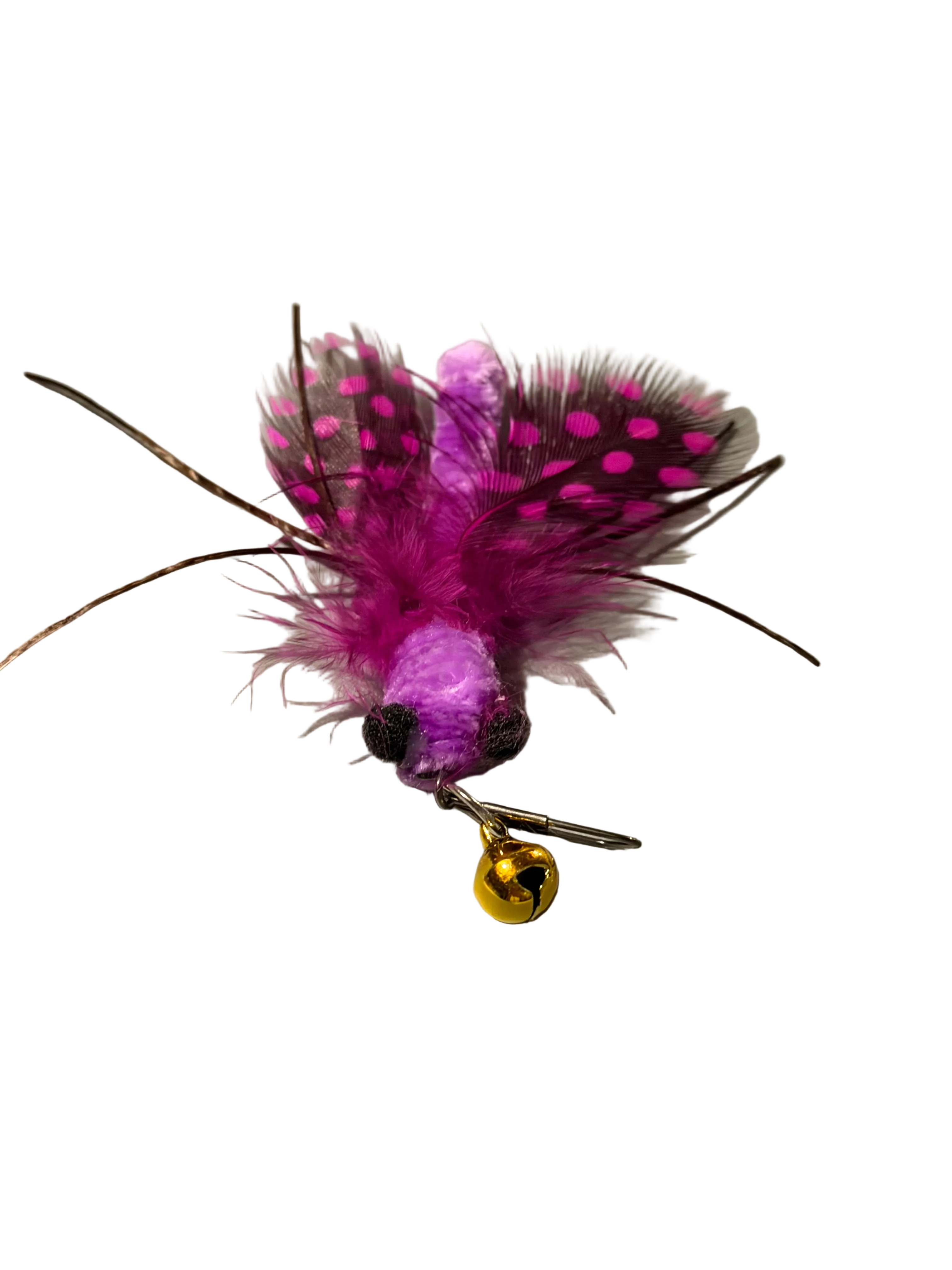 Furprize! Raven Takes Flight, 7-8 piece Cat Bird Feather & Wand Teaser Set