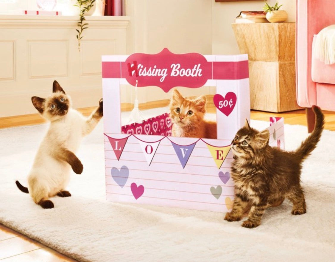 Kissing 😘 /Hissing Booth Cat Scratcher Toy