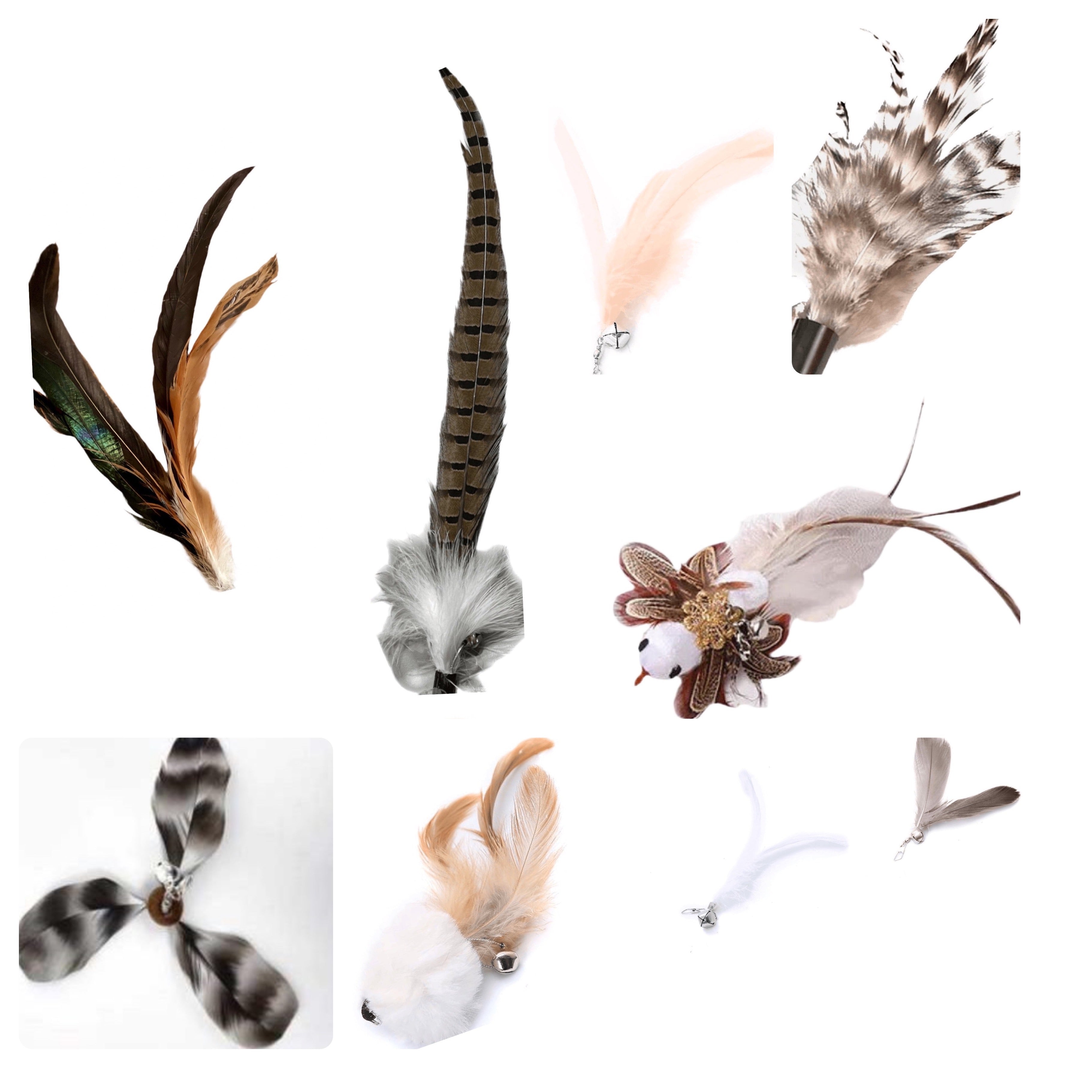 Furprize! Pheasently appealing , 10 piece Cat Bird Feather & Wand Teaser Set