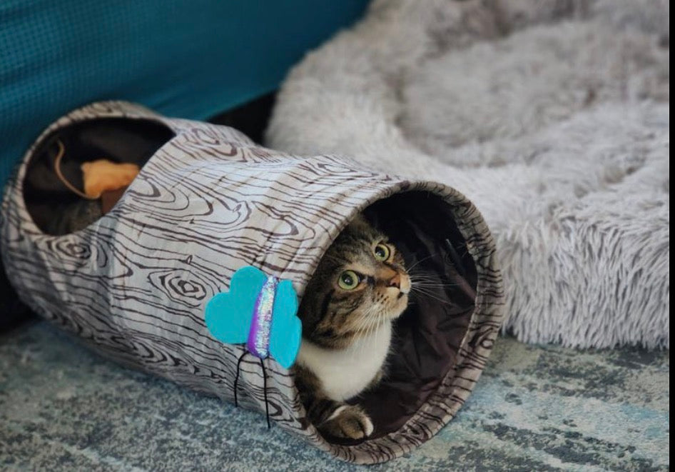 KONG Play Spaces Burrow Cat Toy