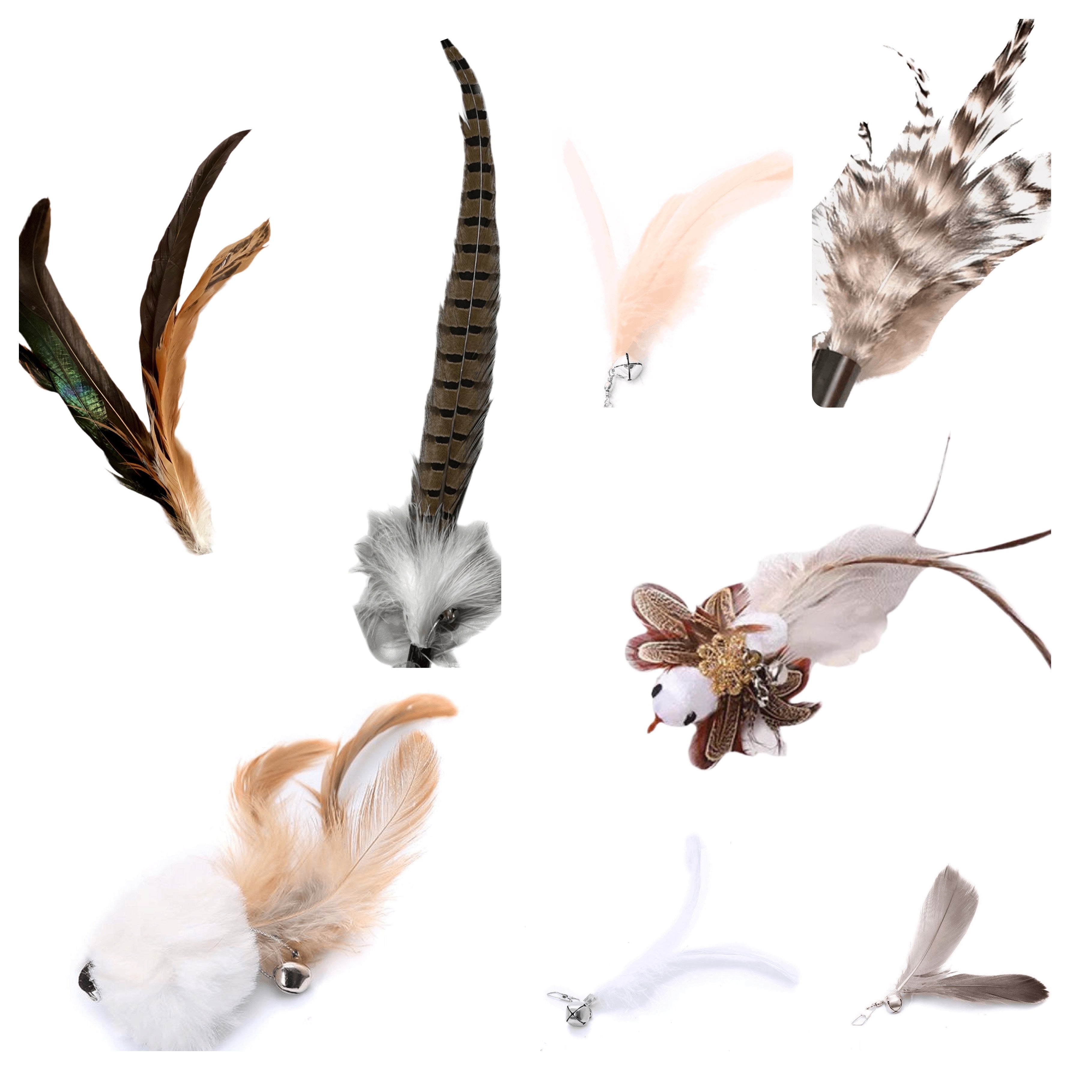 Furprize! Pheasently appealing , 10 piece Cat Bird Feather & Wand Teaser Set