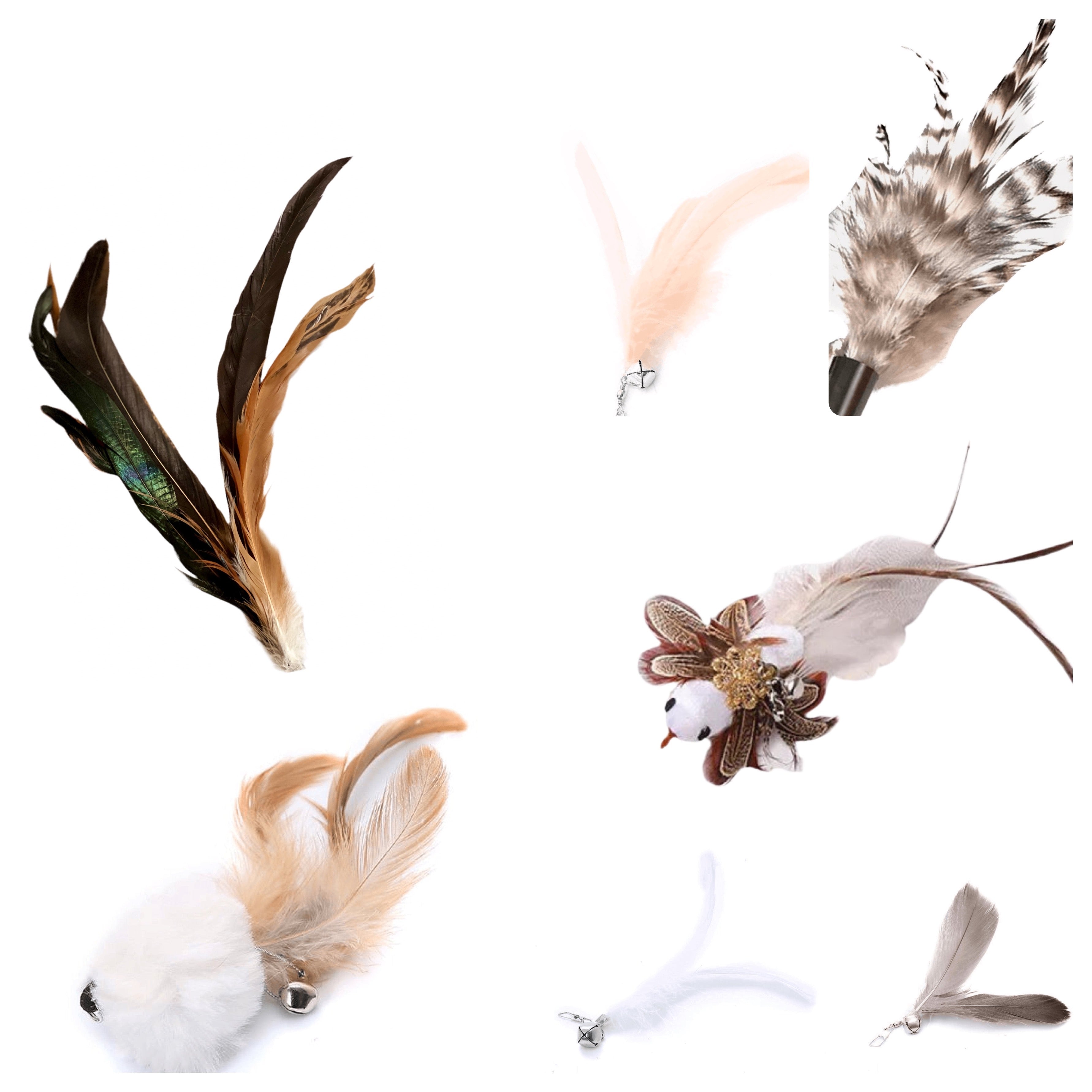 Furprize! Pheasently appealing , 10 piece Cat Bird Feather & Wand Teaser Set