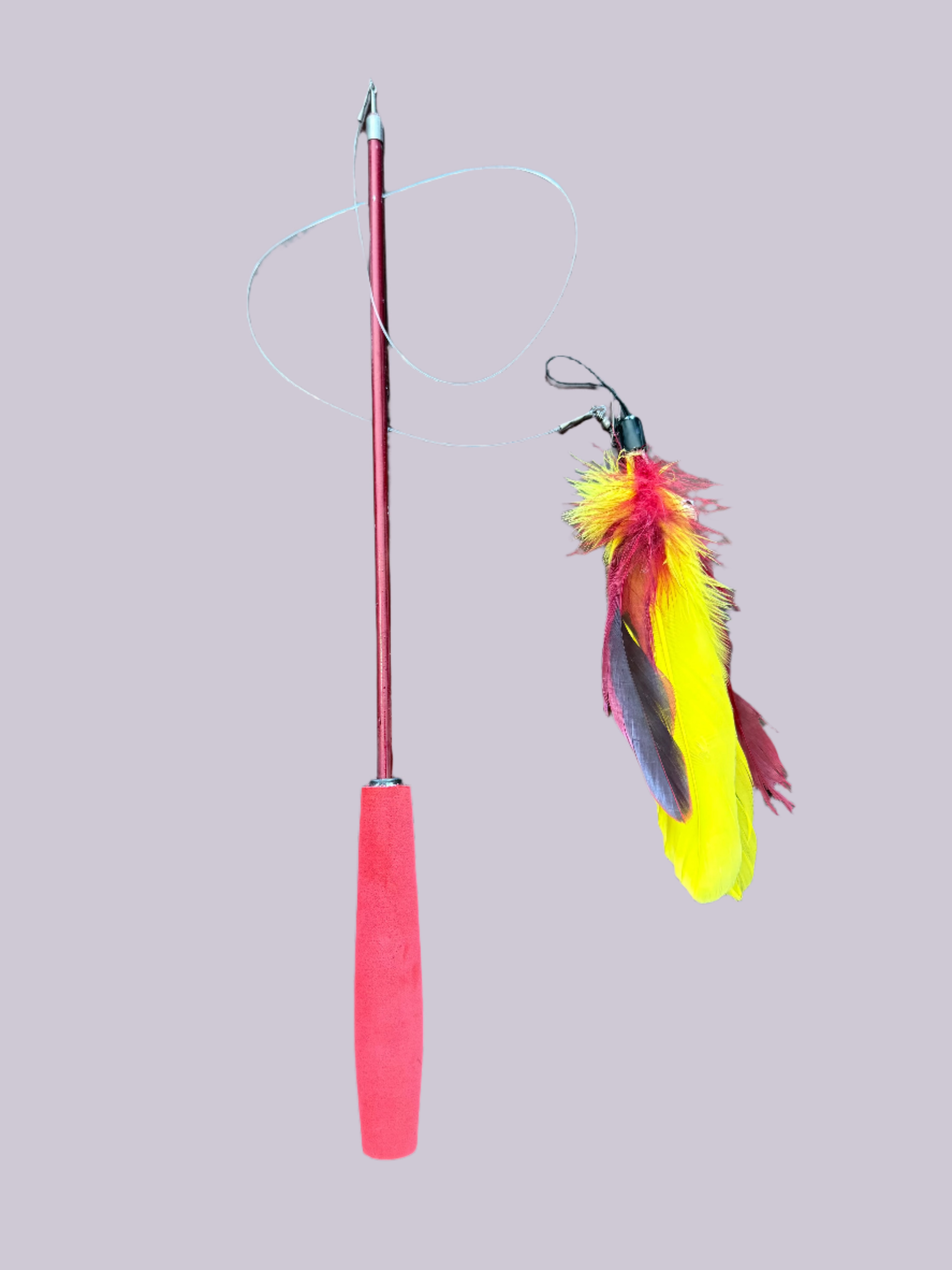 Furprize! 🐦🔥 Phoenix Cat Toy Wand Set