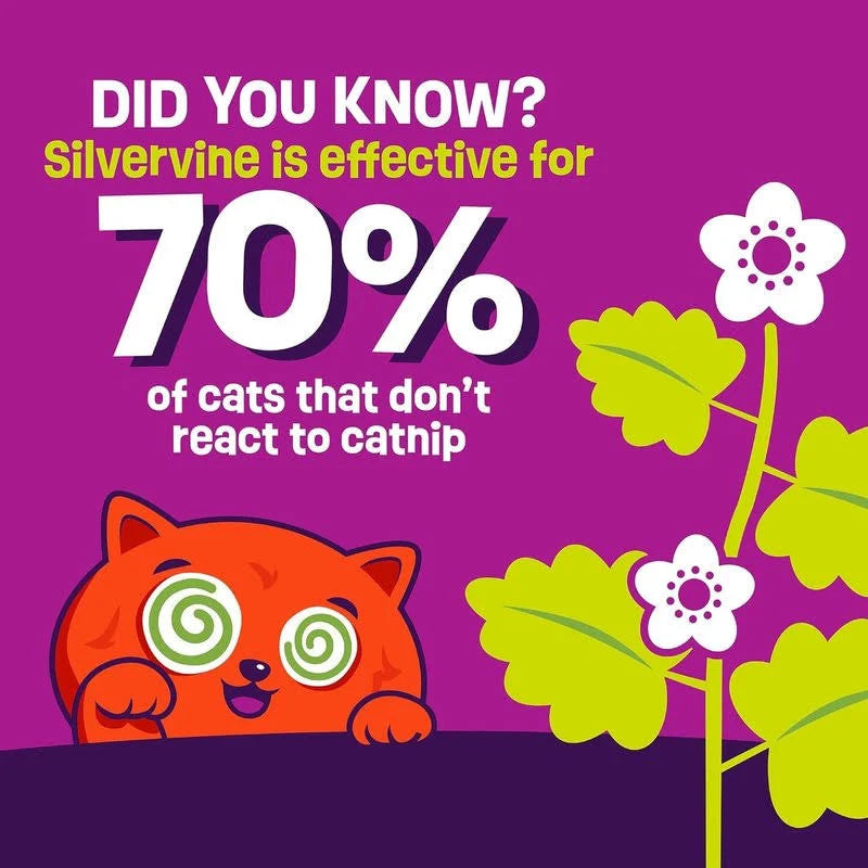 Mad Cat Catucky Fried Chicken Cat Toy with Catnip