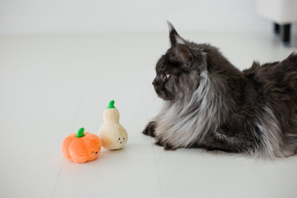 Pearhead Oh My Gourd Cat Toy Catnip Set