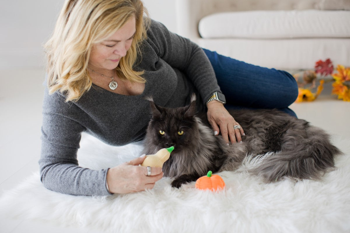 Pearhead Oh My Gourd Cat Toy Catnip Set