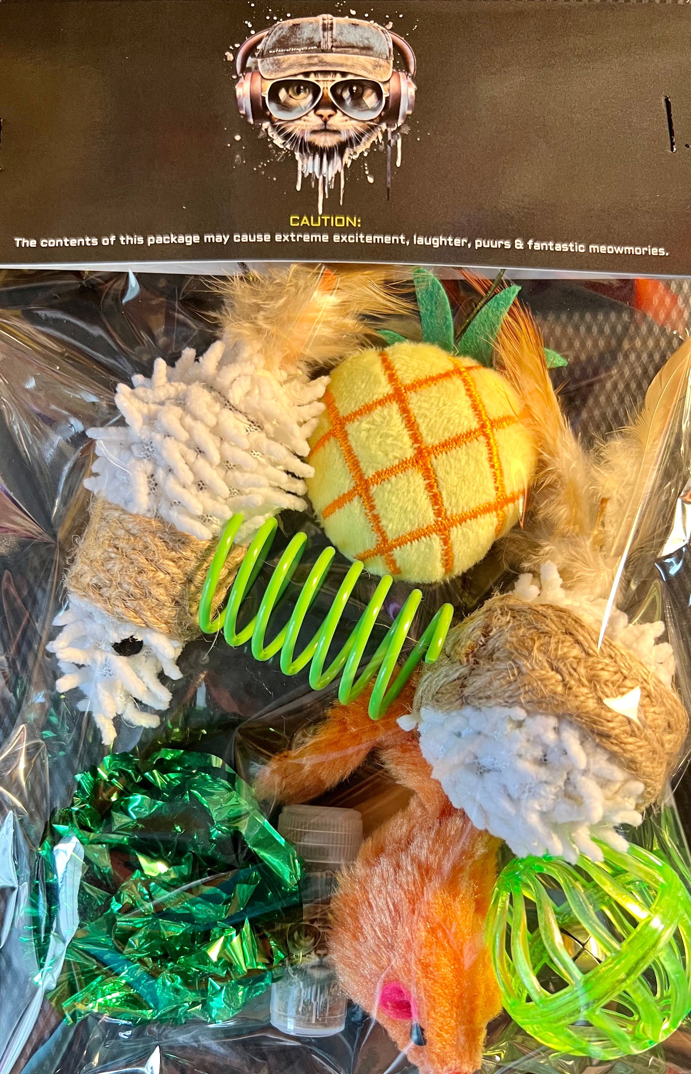 Furprize! Pineapple, Assorted Catnip Infusion Toys Cat Toy FurPrize!