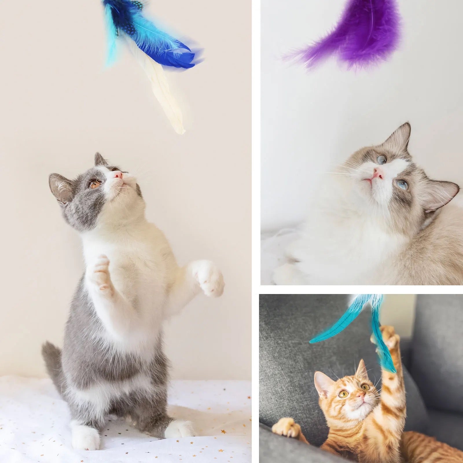 Furprize! Stormy’s Unstoppable, Purple, 6 piece Feather & Cat Wand Teaser Set Bundle FurPrize!