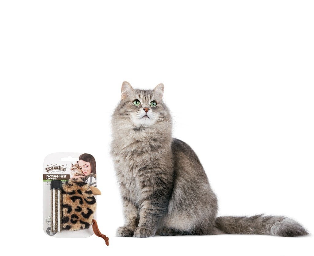Pawise nature first refillable catnip mouse, leopard Cat Toy Pawise