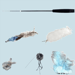 FurPrize! Blue Bird, 6 piece Feather & Cat Wand Teaser Set Bundle FurPrize! Wand & Refill, 6pc 