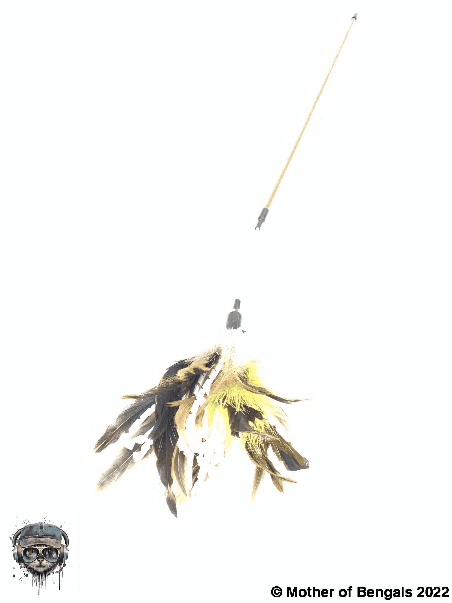 FurPrize! Crinkle 'n Twirl, Feather Cat Toy Teaser Wand Wand FurPrize!