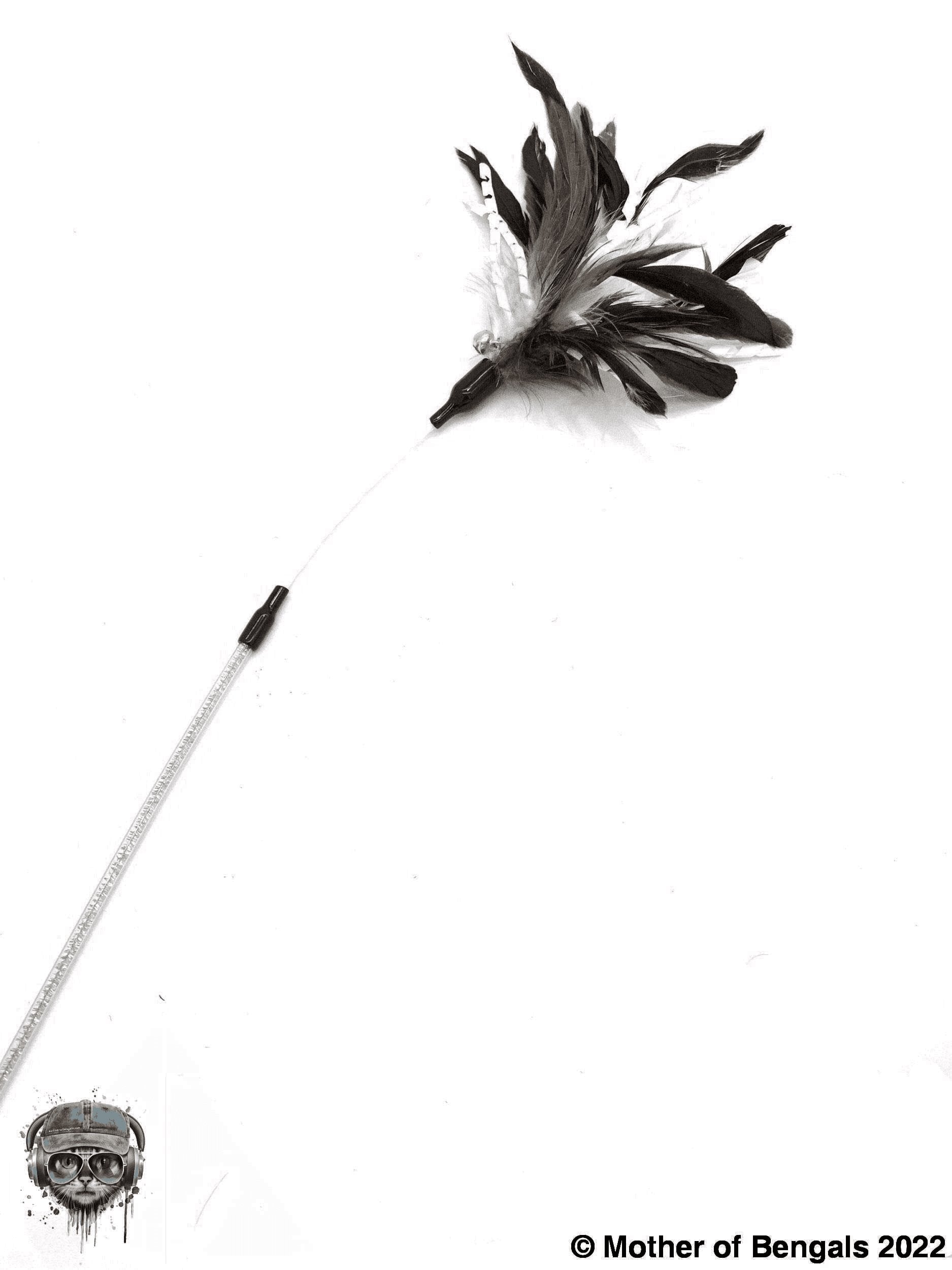 FurPrize! Crinkle 'n Twirl, Feather Cat Toy Teaser Wand Wand FurPrize!