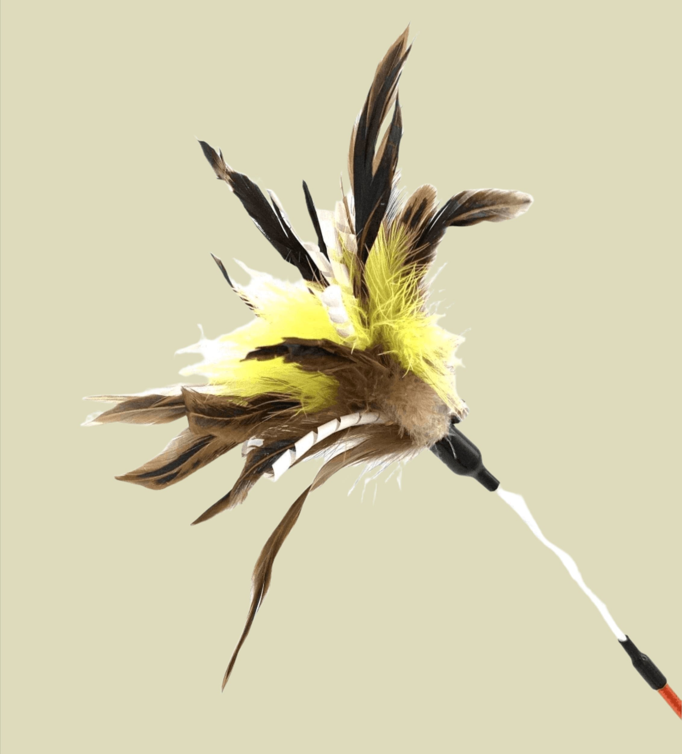 FurPrize! Crinkle 'n Twirl, Feather Cat Toy Teaser Wand Wand FurPrize!