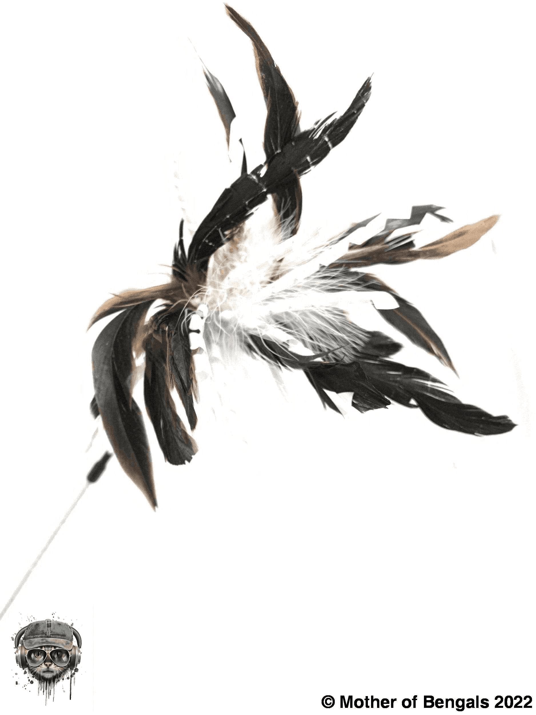 FurPrize! Crinkle 'n Twirl, Feather Cat Toy Teaser Wand Wand FurPrize!
