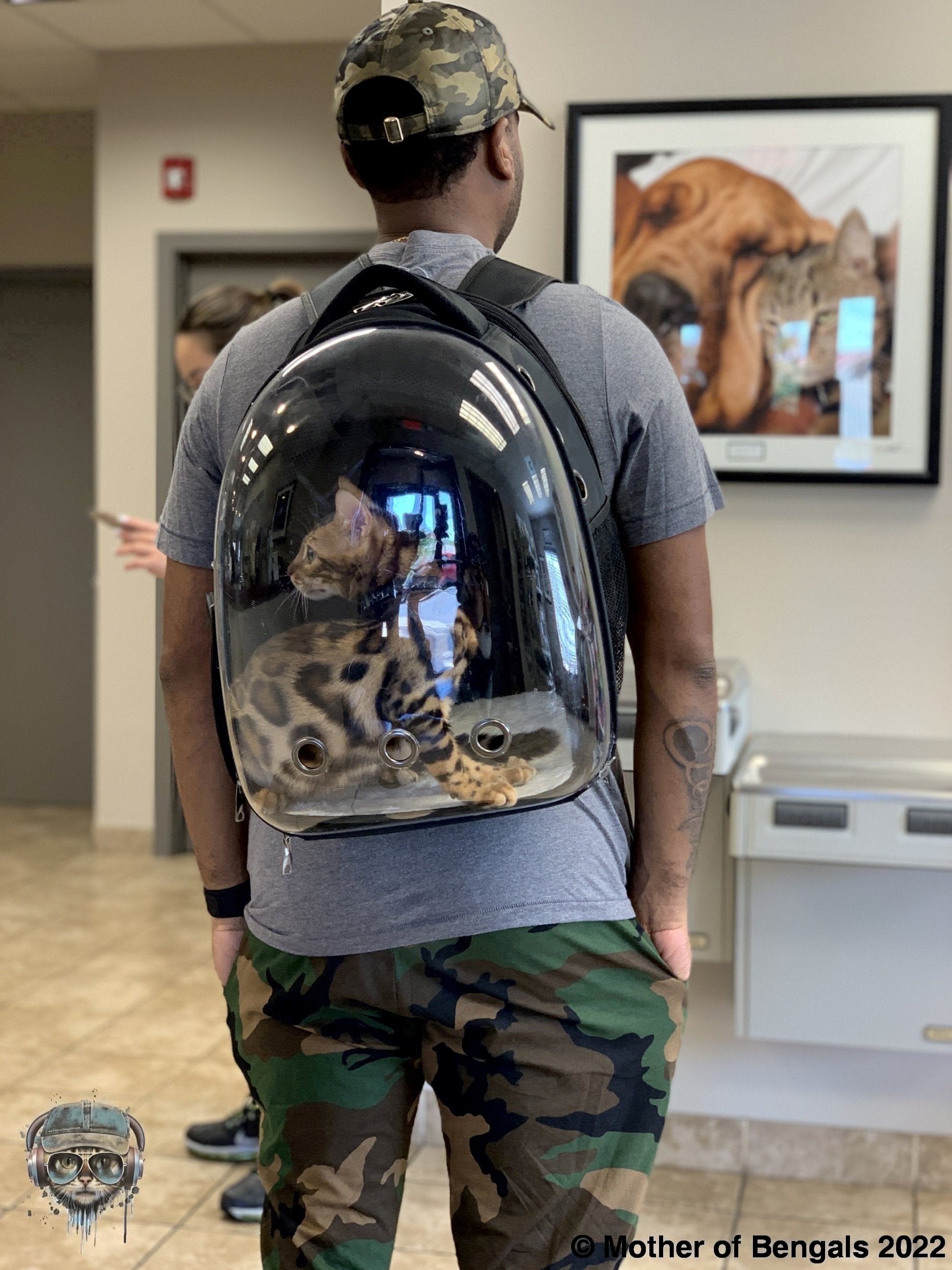 FurPrize! Expandable Cat Bubble Backpack 🗨️ Cat Backpack FurPrize!