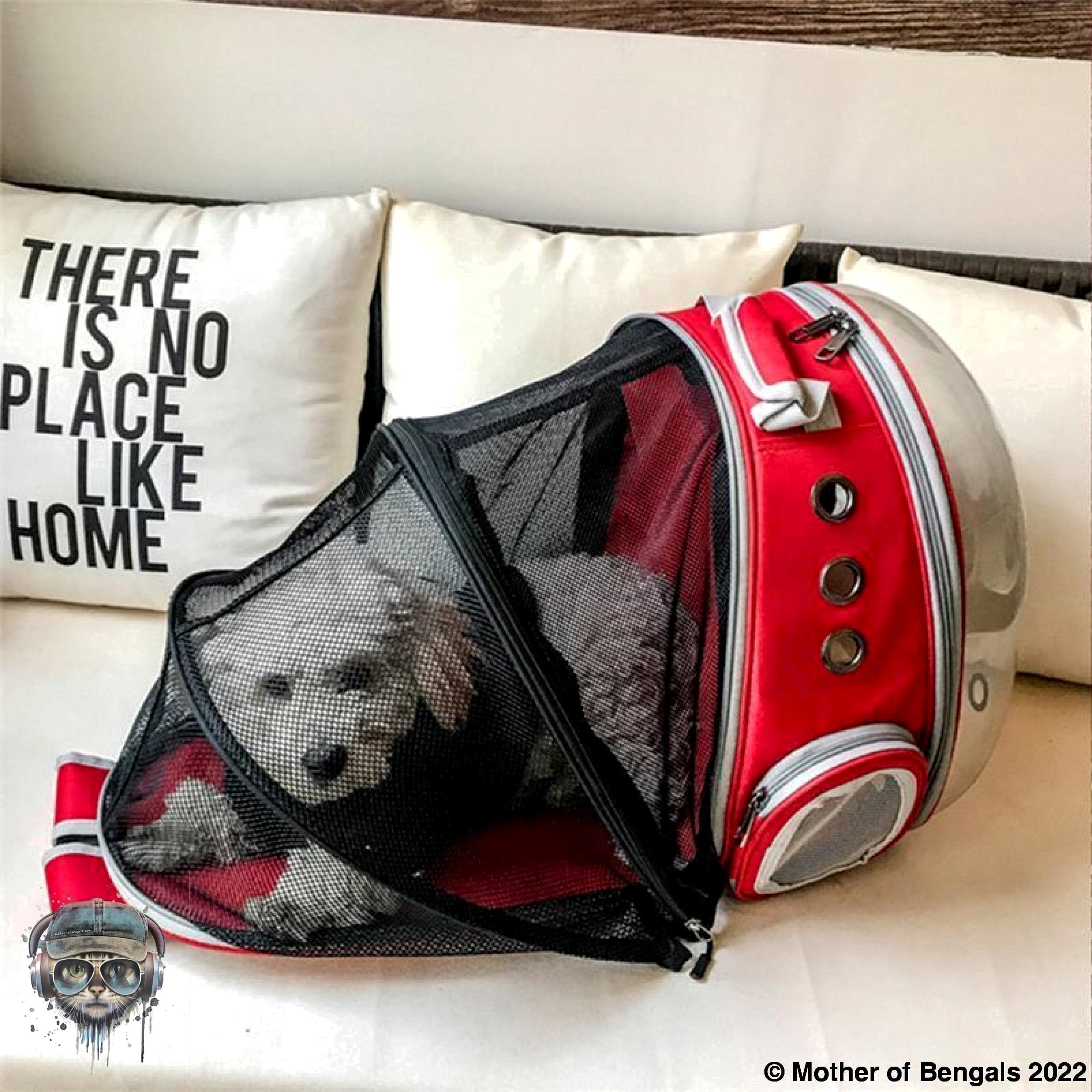 FurPrize! Expandable Cat Bubble Backpack 🗨️ Cat Backpack FurPrize!