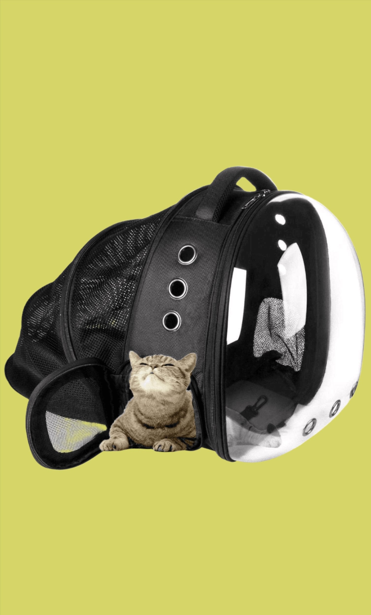 FurPrize! Expandable Cat Bubble Backpack 🗨️ Cat Backpack FurPrize! Black/black