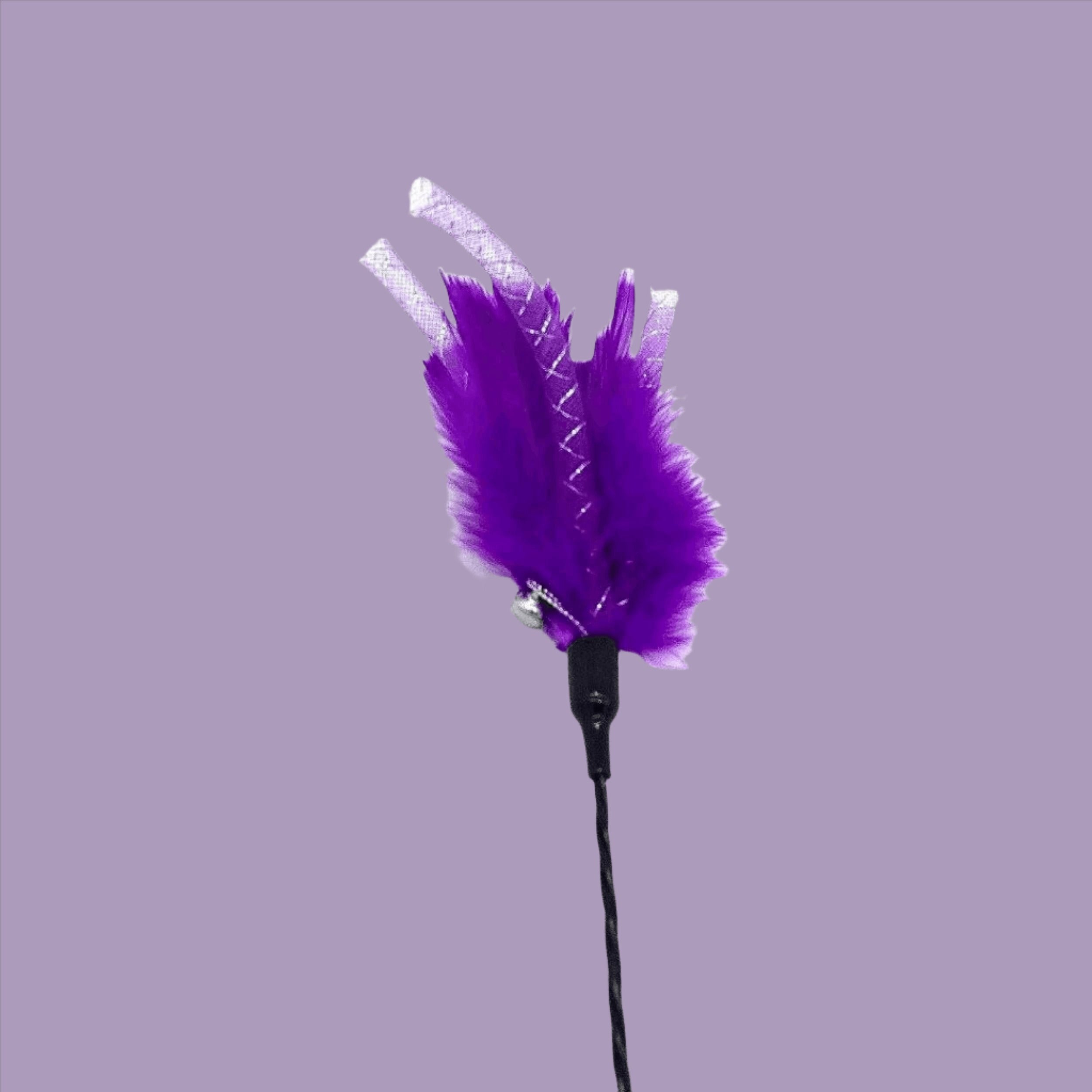 FurPrize! Get your Swirl on, Feather Cat Wand Teaser Wand FurPrize! Purple