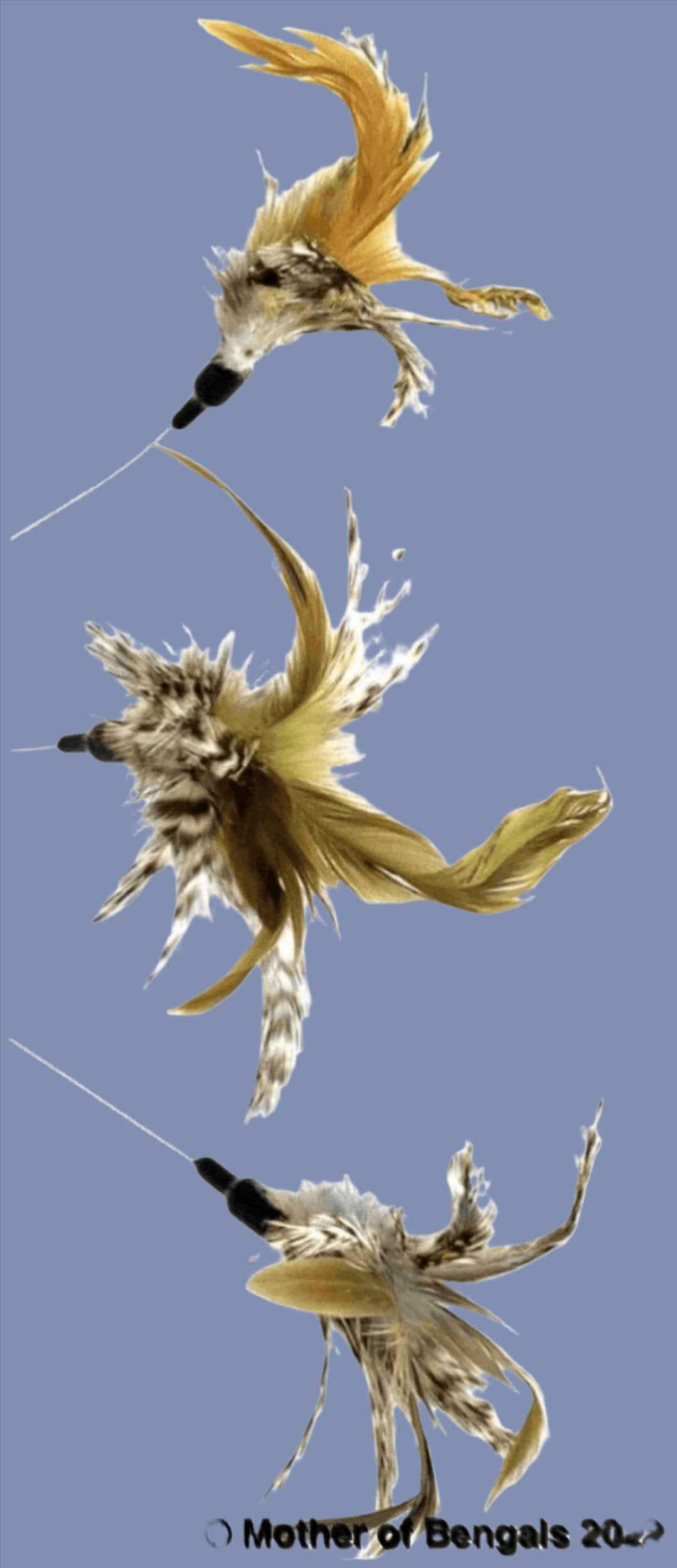 FurPrize! Going Wild Cat Wand Teaser 🐾 Wand FurPrize! Yellow