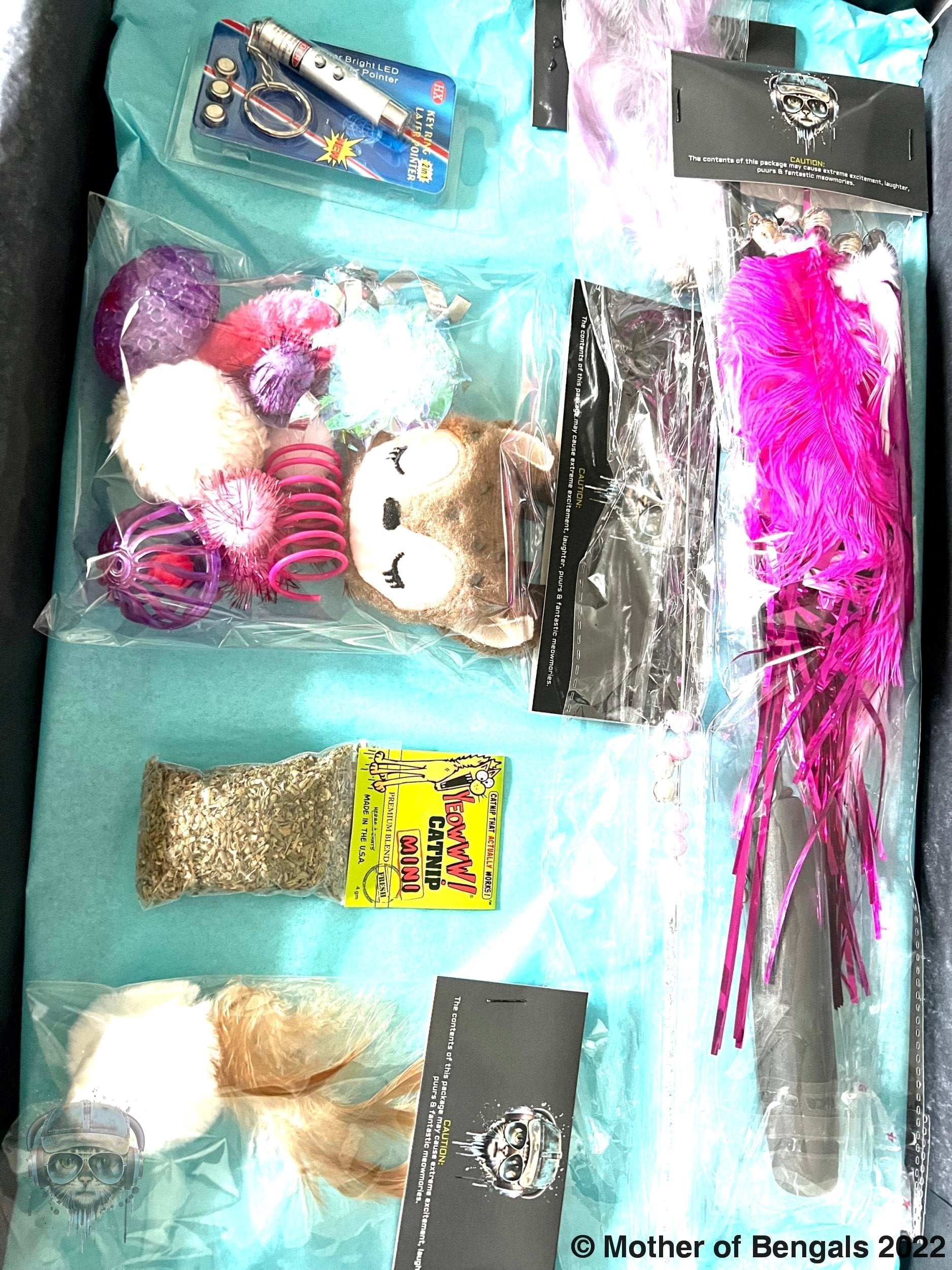 FurPrize! Holiday Reindeer Mini Cat Toy Gift Box Cat Toy FurPrize!