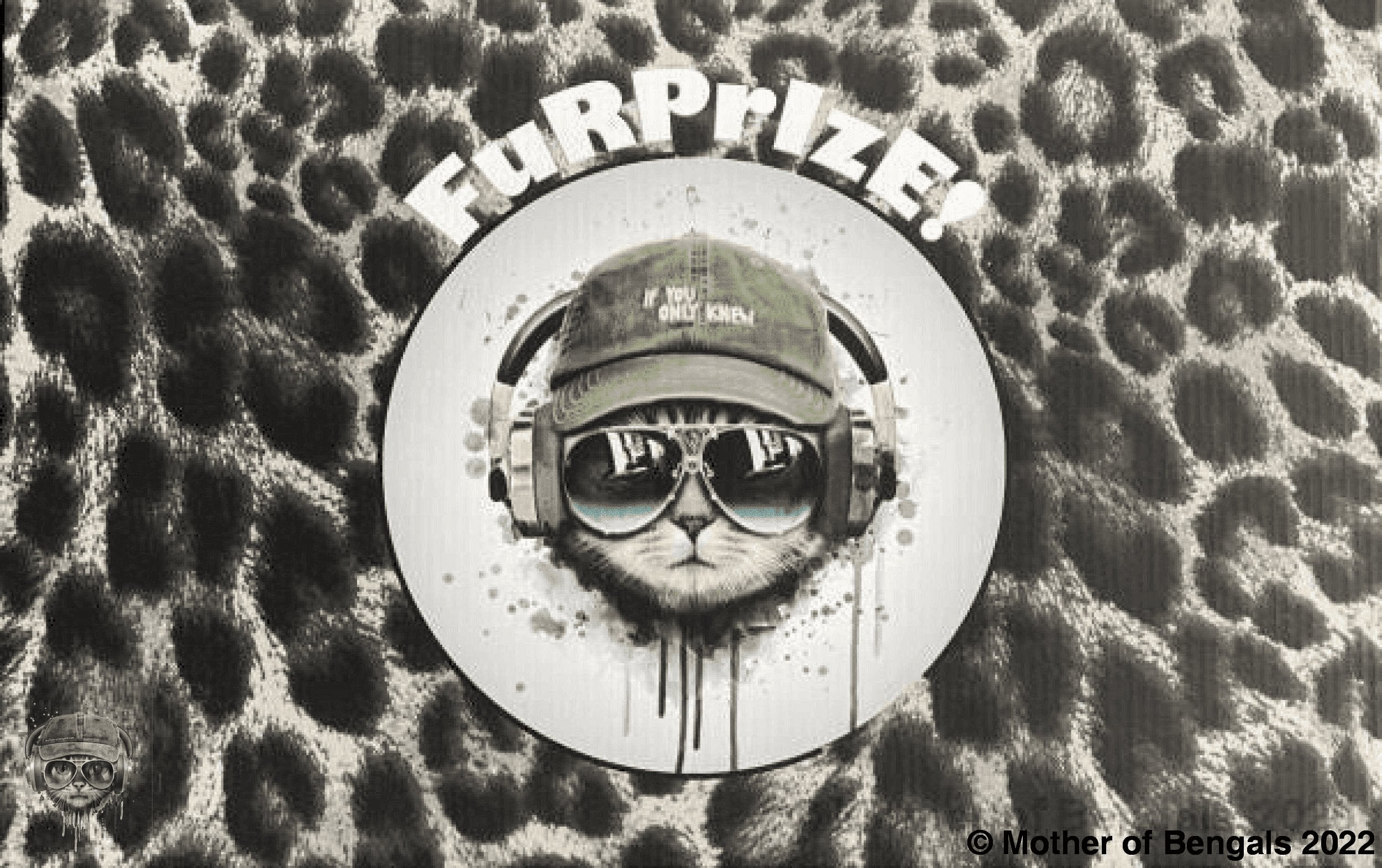 FurPrize! Holiday Reindeer Mini Cat Toy Gift Box Cat Toy FurPrize!