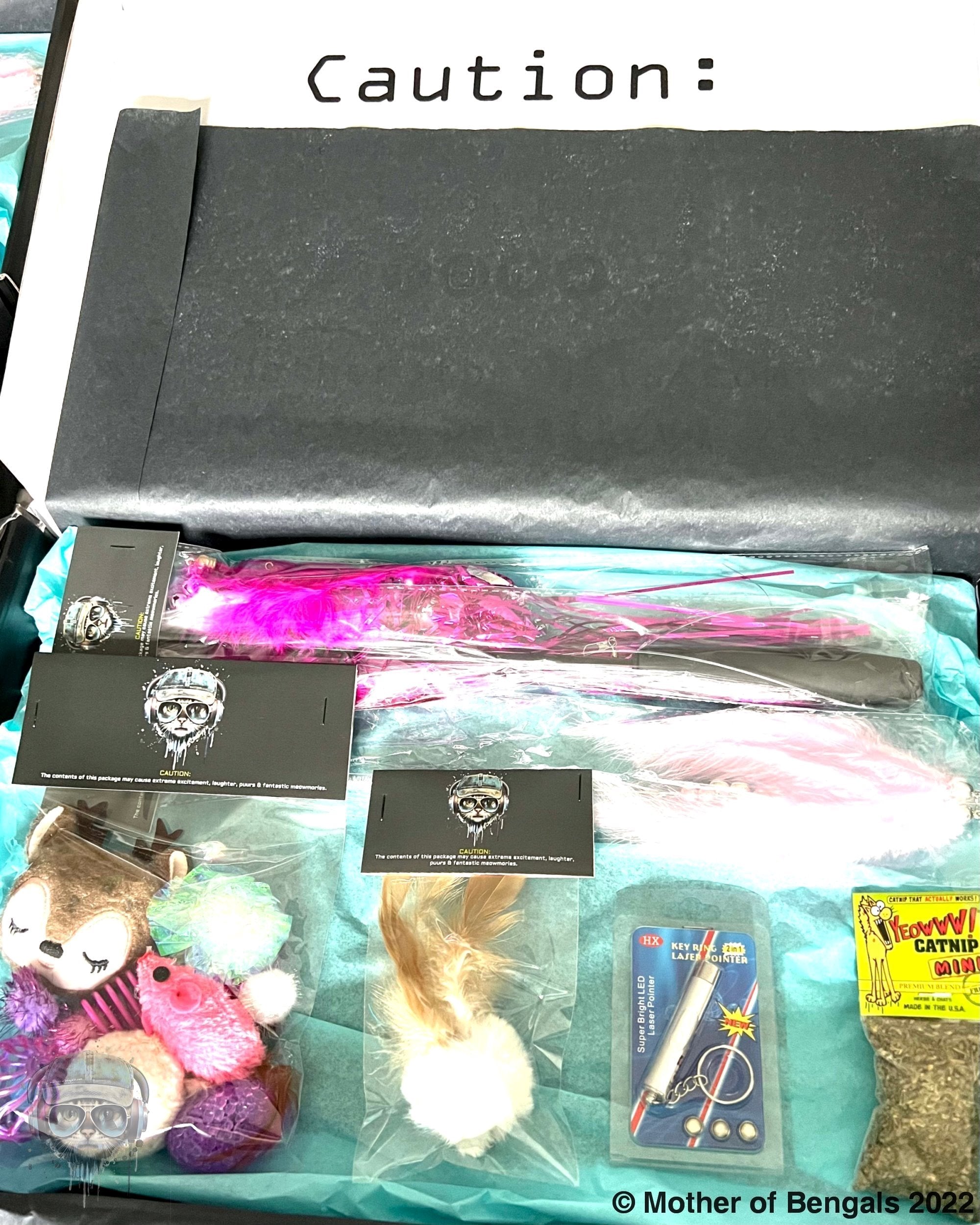 FurPrize! Holiday Reindeer Mini Cat Toy Gift Box Cat Toy FurPrize!