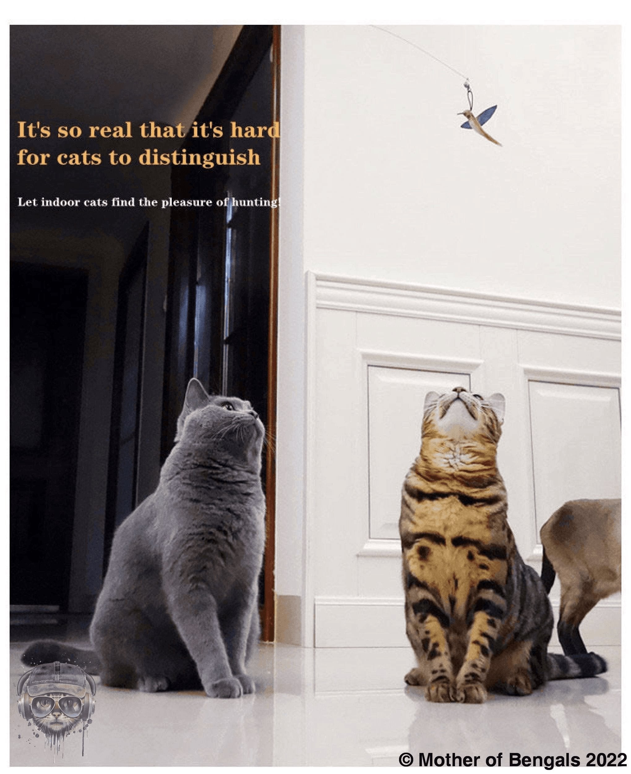 Furprize! Humming Bird Takes Flight, 7 pc Cat Wand Teaser Set🦁 Bundle FurPrize!