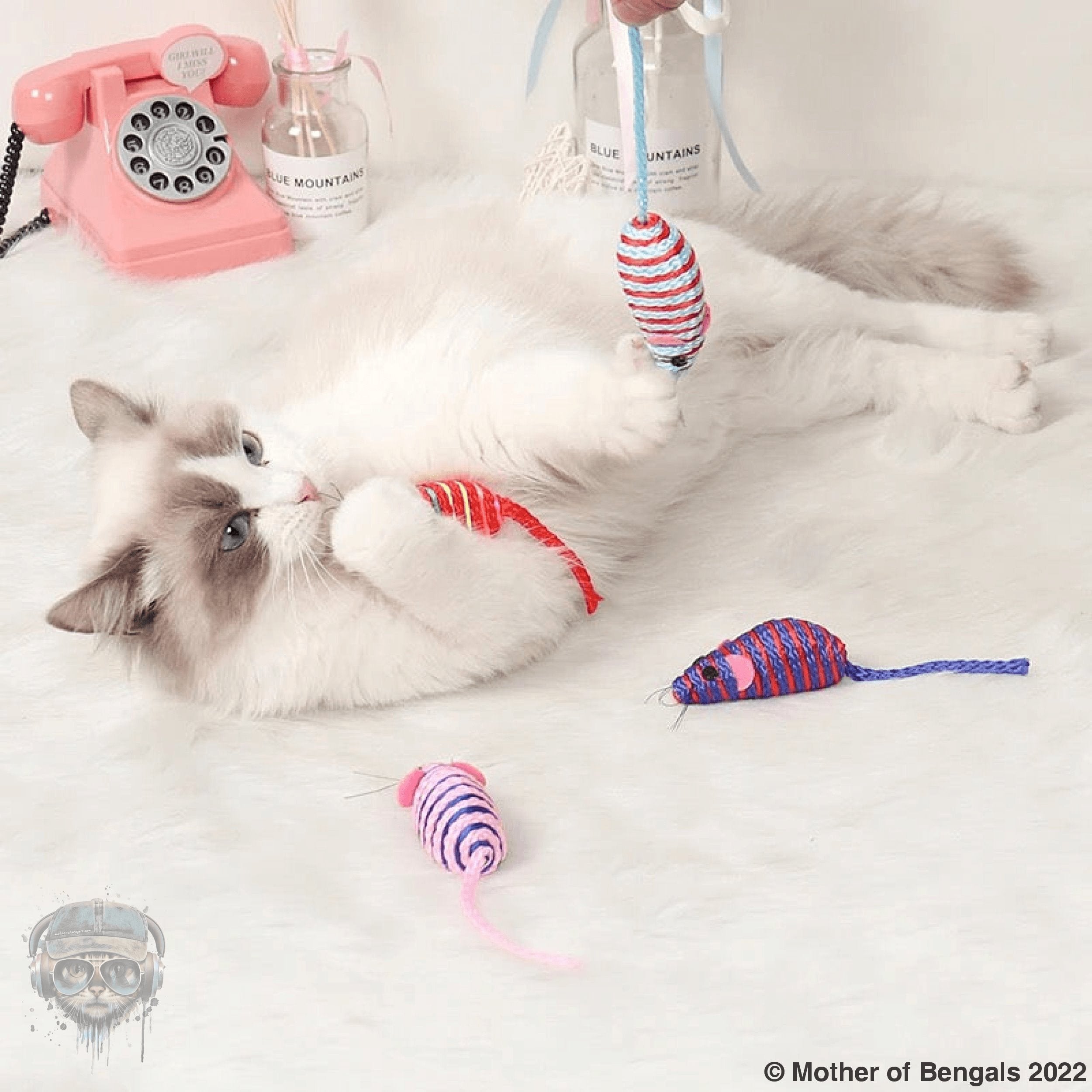 FurPrize! Just Another Mouse 2 pc set 🐭 Mouse toy FurPrize!