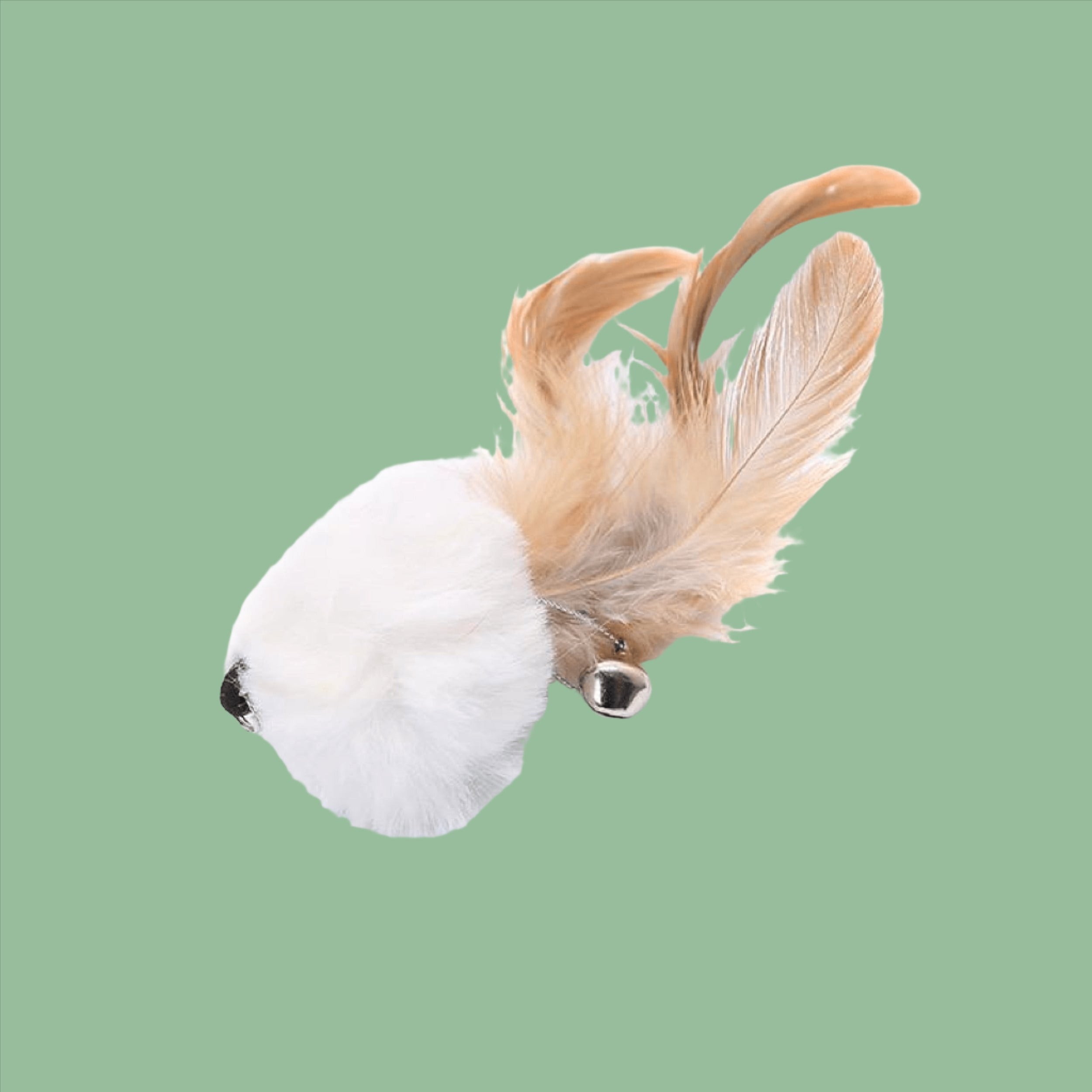 Furprize! Pheasently appealing , 8 piece Cat Bird Feather & Wand Teaser Set Bundle FurPrize!