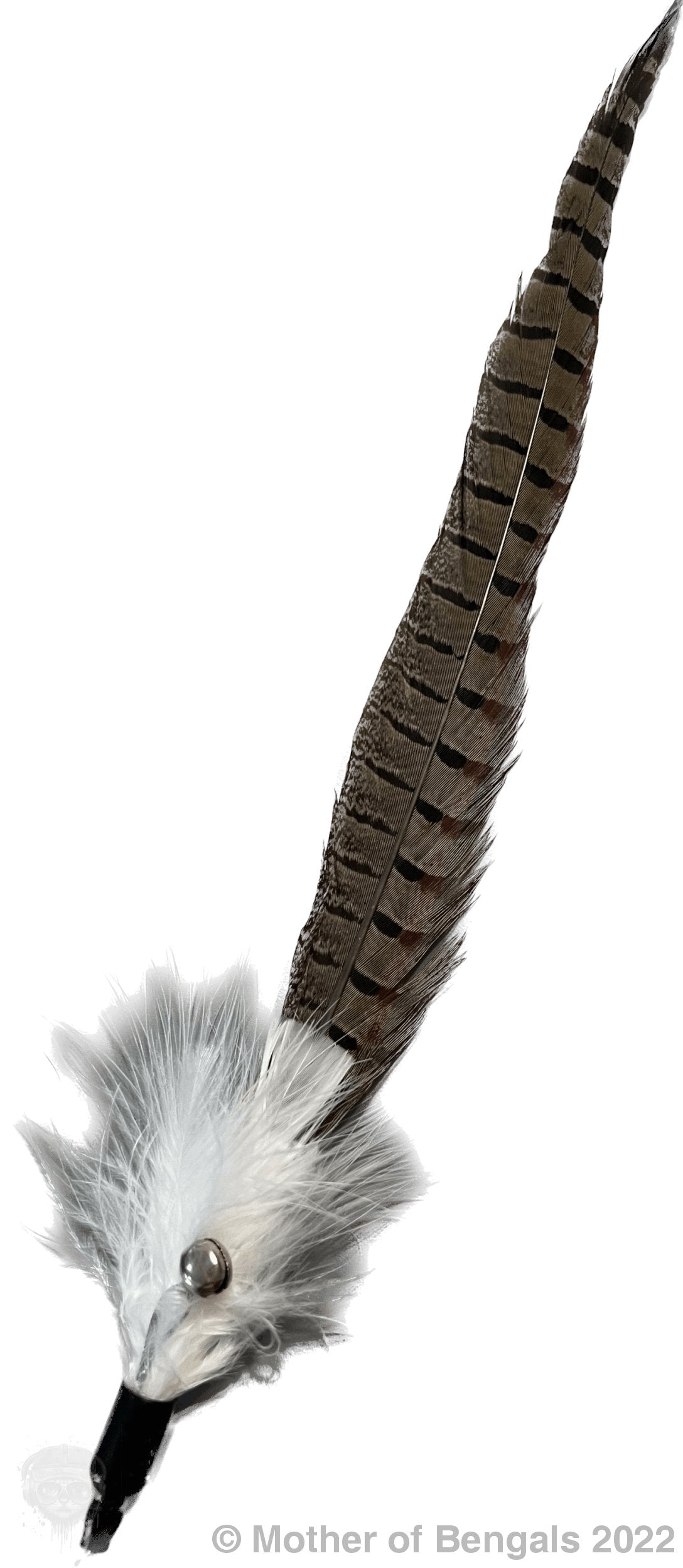 Furprize! Pheasently appealing , 8 piece Cat Bird Feather & Wand Teaser Set Bundle FurPrize!