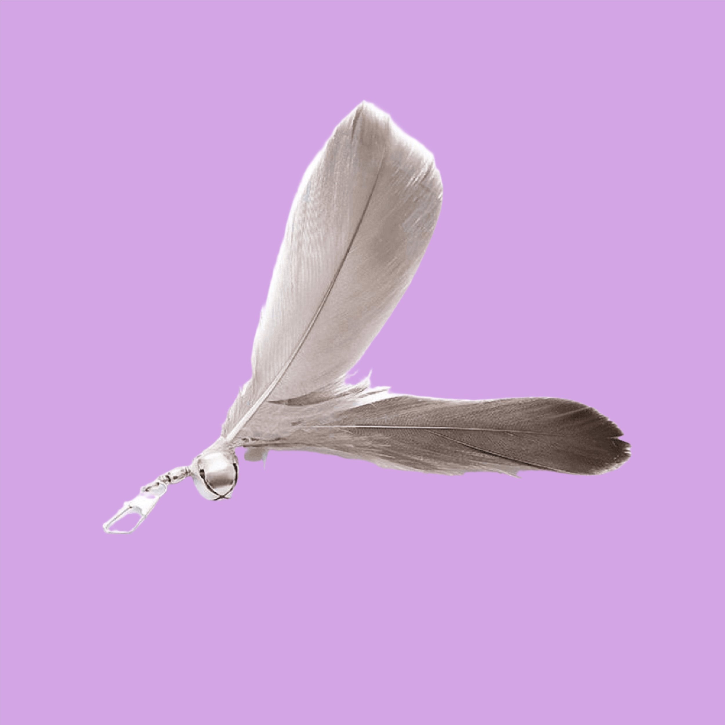 Furprize! Pheasently appealing , 8 piece Cat Bird Feather & Wand Teaser Set Bundle FurPrize!