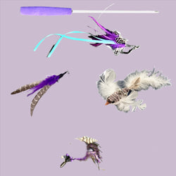 Furprize! Raven Takes Flight, 7 piece Cat Bird Feather & Wand Teaser Set Bundle FurPrize! Refill & Wand,7 pc 