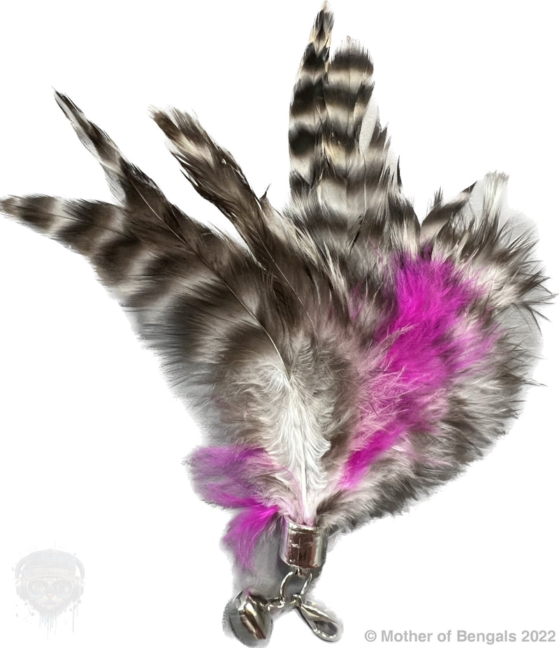 Furprize! Spunky Kitty, 7 pc Cat Wand Teaser Set🦁 Bundle FurPrize! 