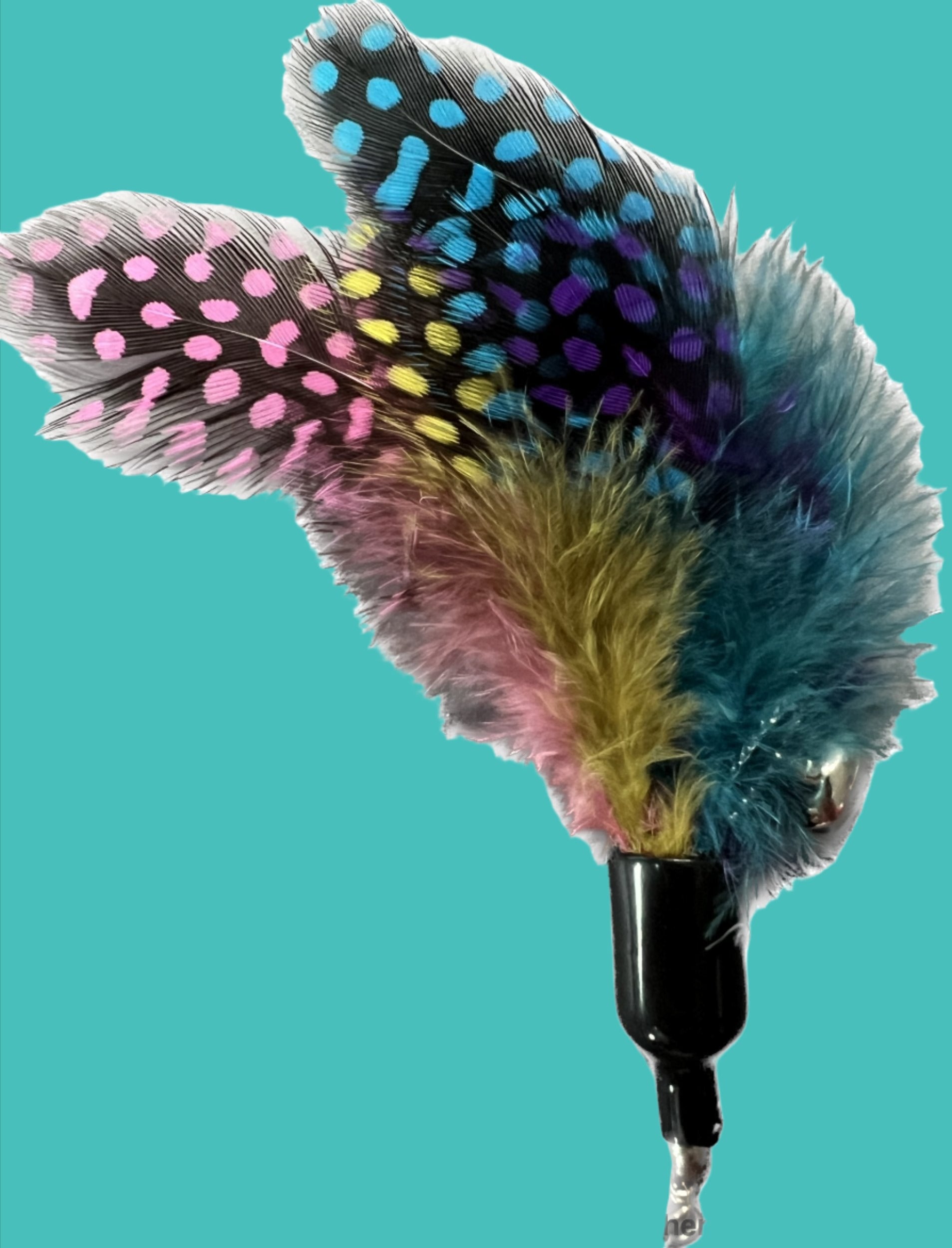 Furprize! Spunky Kitty, 7 pc Cat Wand Teaser Set🦁 Bundle FurPrize!