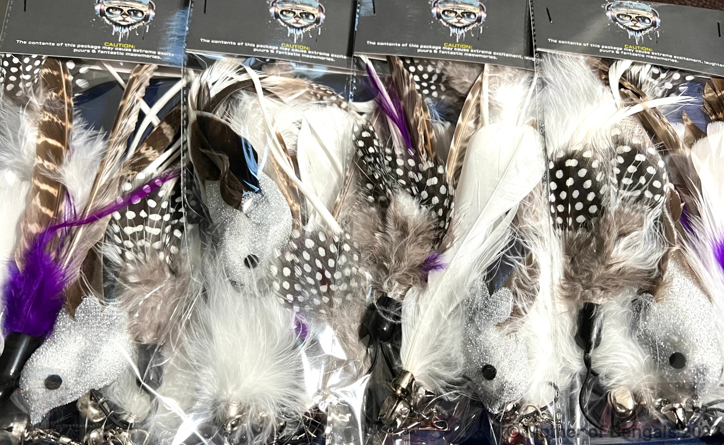 Furprize!Silver Raven Bird 6 piece Feather & Cat Wand Teaser Set Bundle FurPrize!