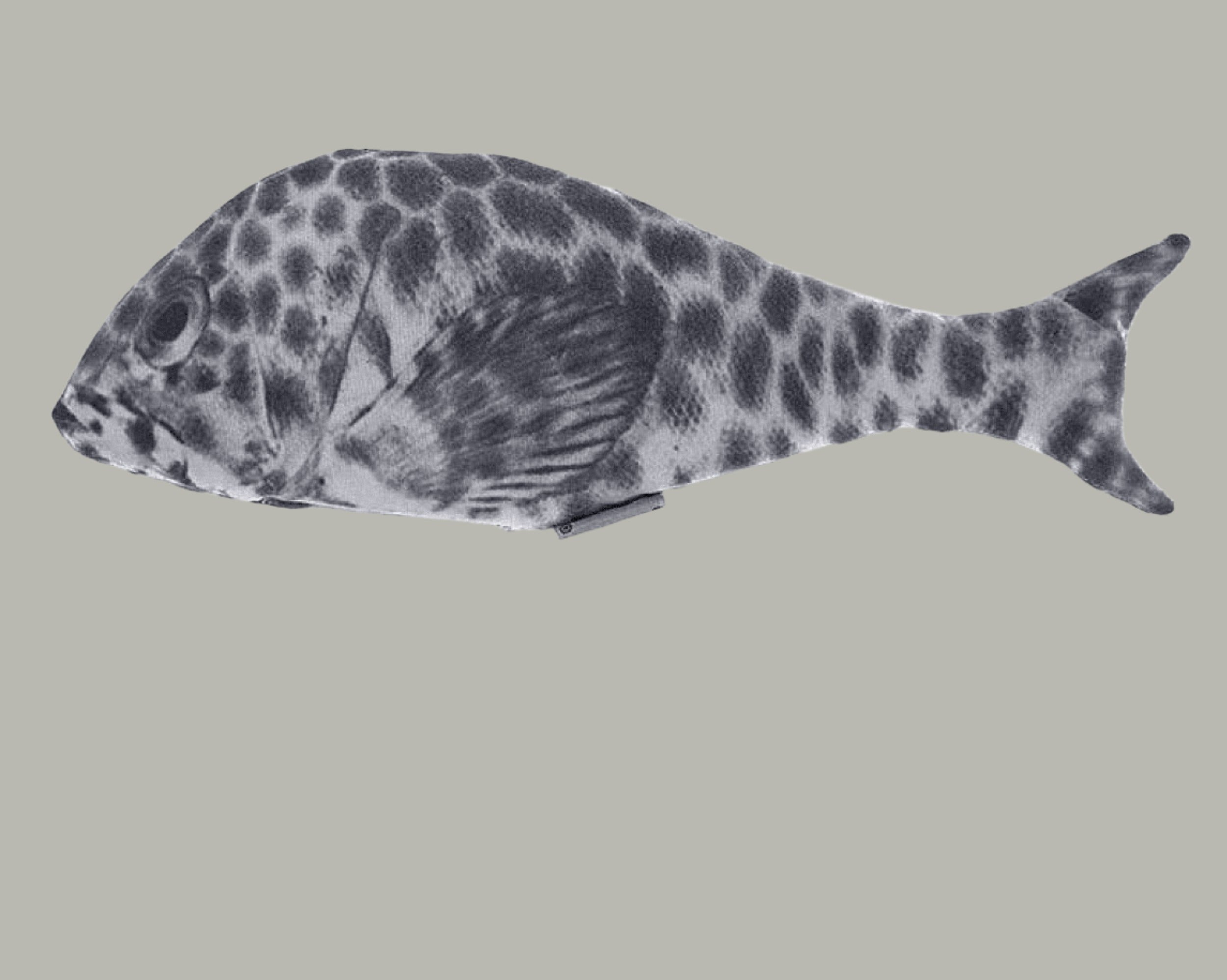 Gone Fishing XL Kicker Catnip Toy 🐠 By Mother Of Bengals Cat Toy FurPrize!