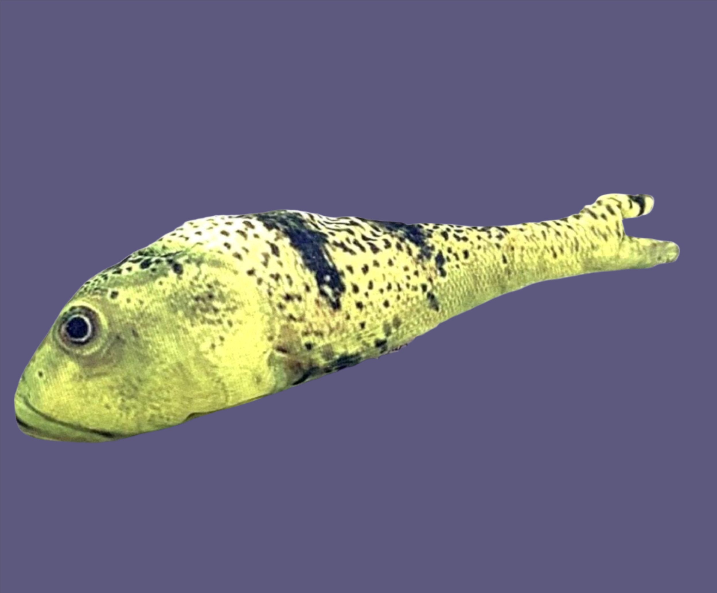 Gone Fishing XL Kicker Catnip Toy 🐠 By Mother Of Bengals Cat Toy FurPrize! Green