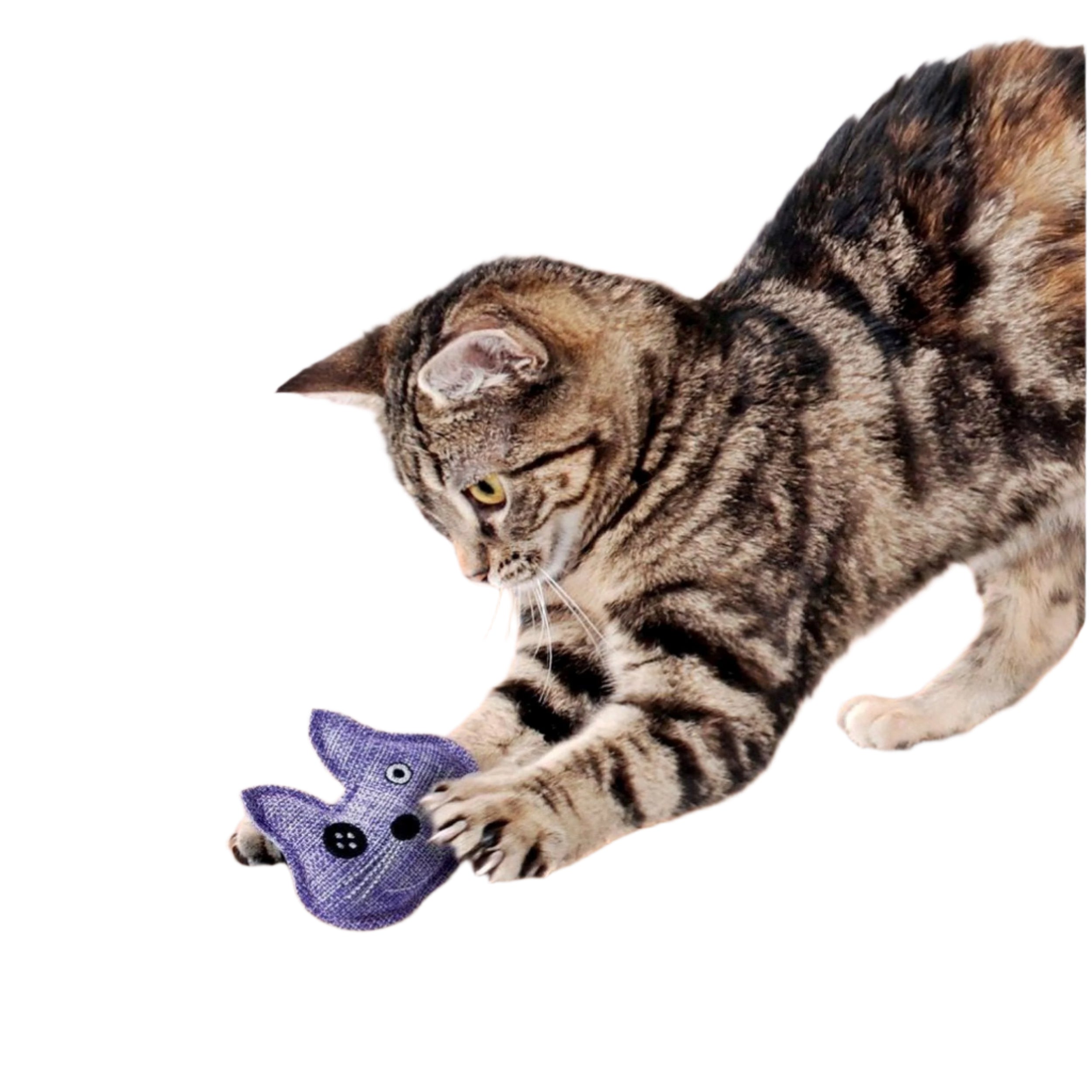 Kong Active Trio Cat Toy Cat Toy Kong Purple