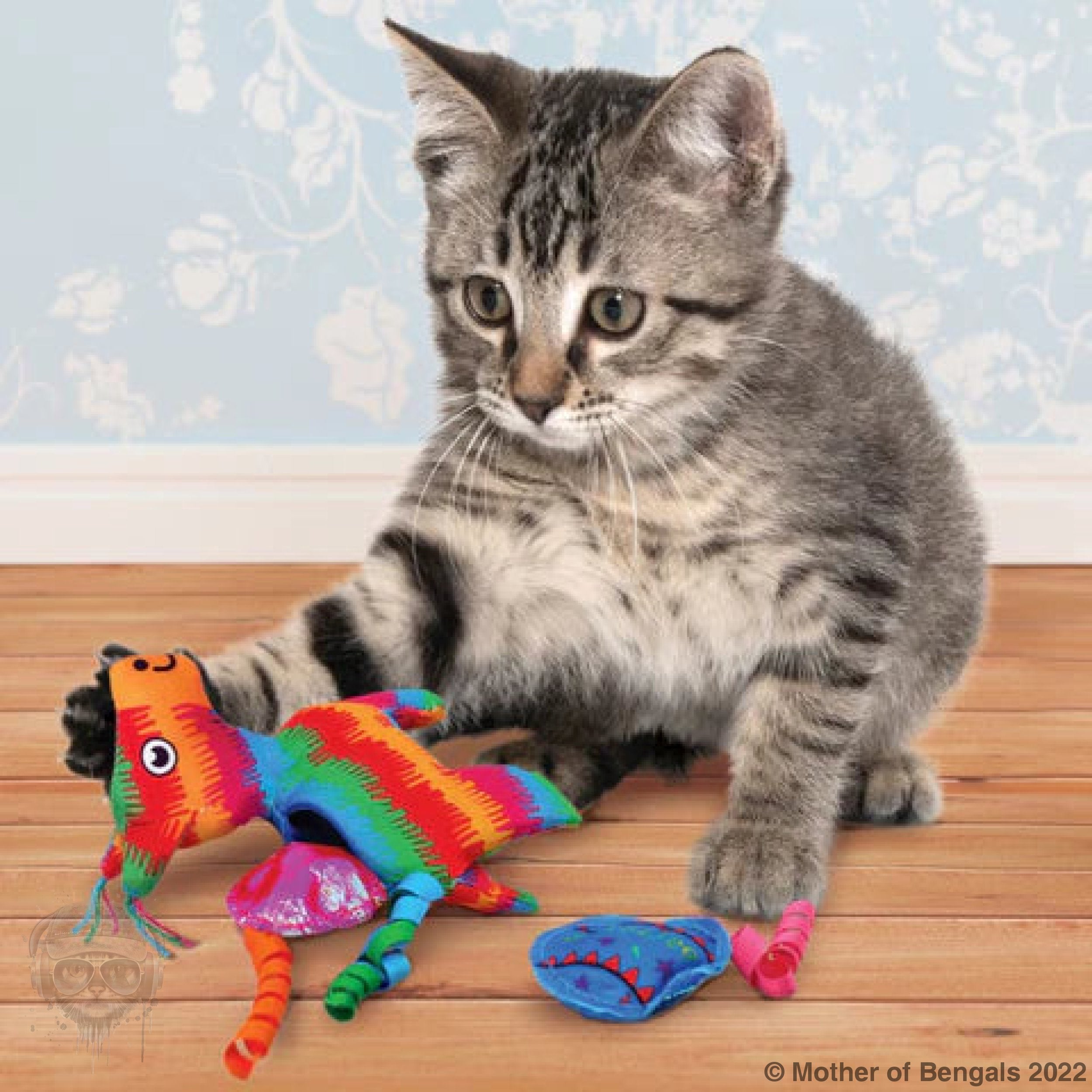 KONG PULL-A-PARTZ™ PINATA Cat Toy Kong
