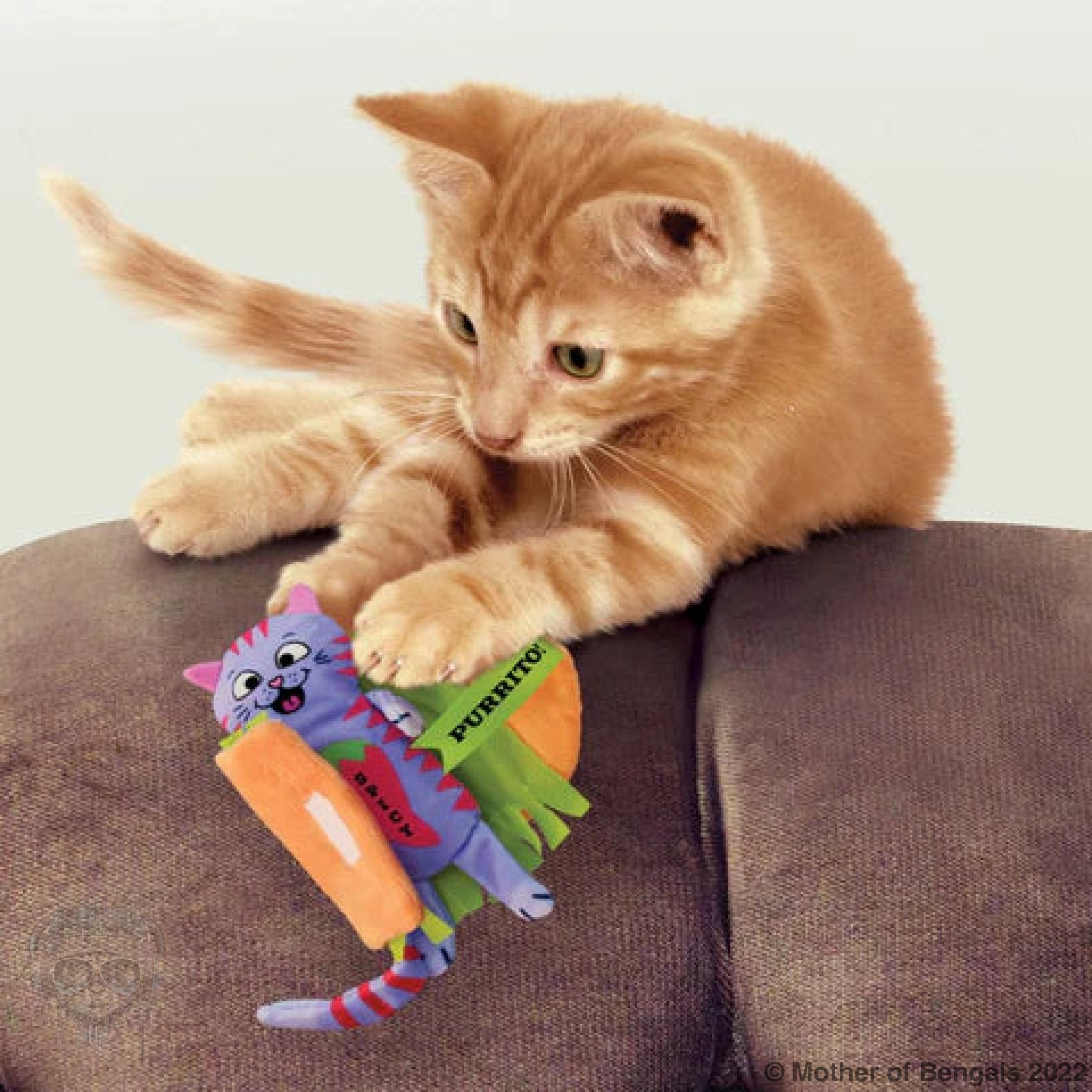 KONG PULL-A-PARTZ™ PURRITO Cat Toy Kong