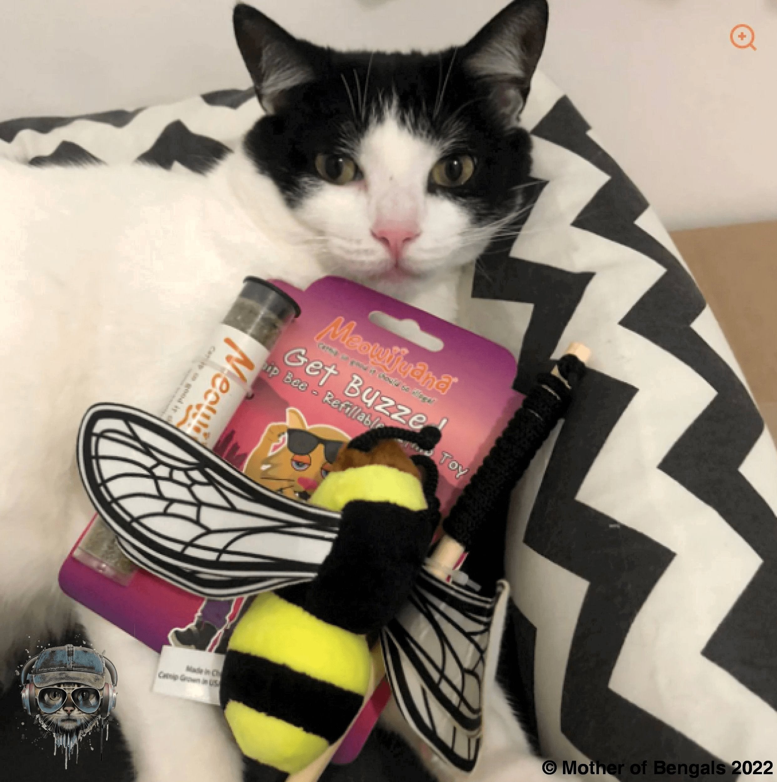 Meowijuana Get Buzzed Refillable Bee Cat Toy Catnip toy Meowijuana