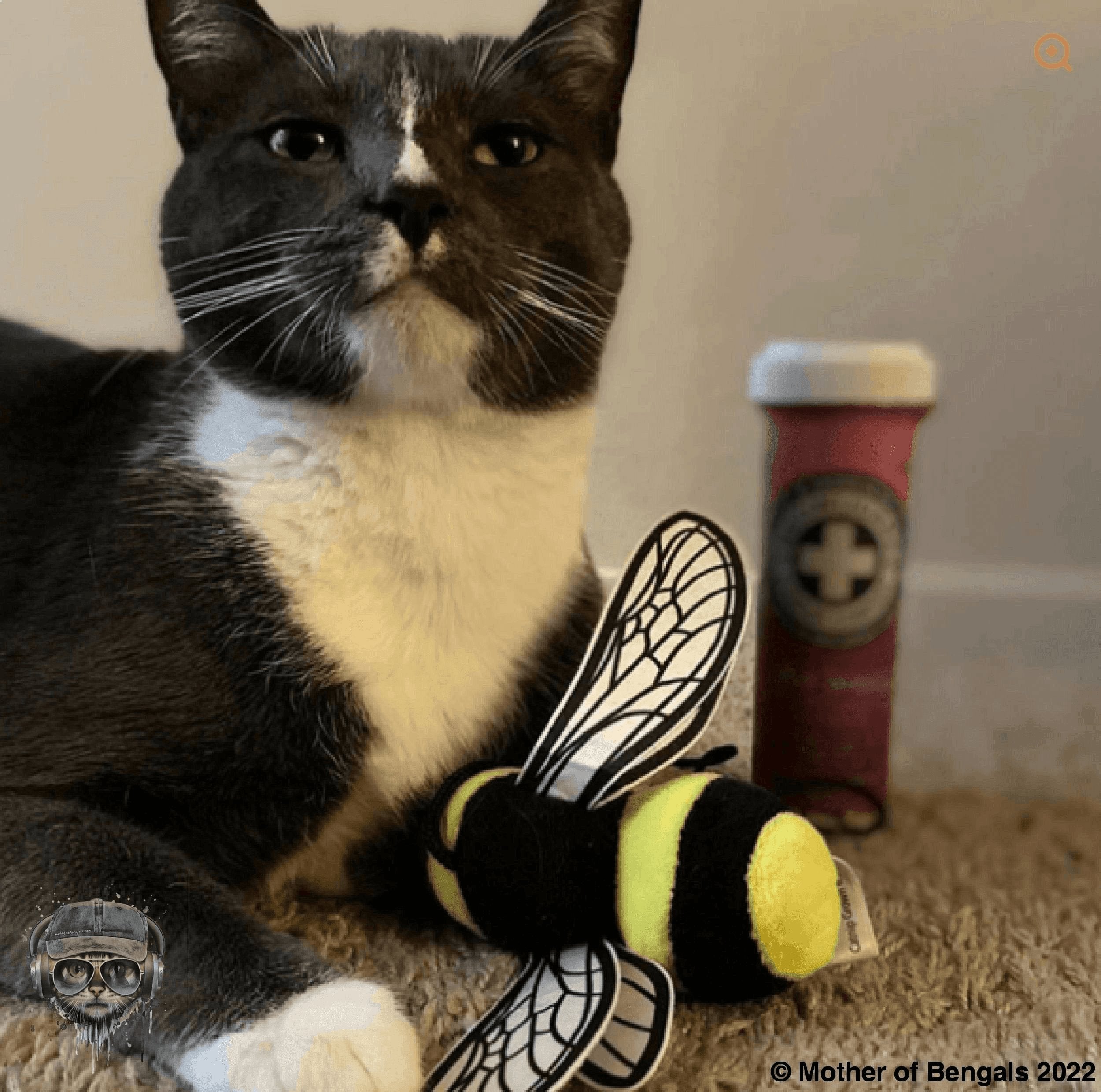 Meowijuana Get Buzzed Refillable Bee Cat Toy Catnip toy Meowijuana