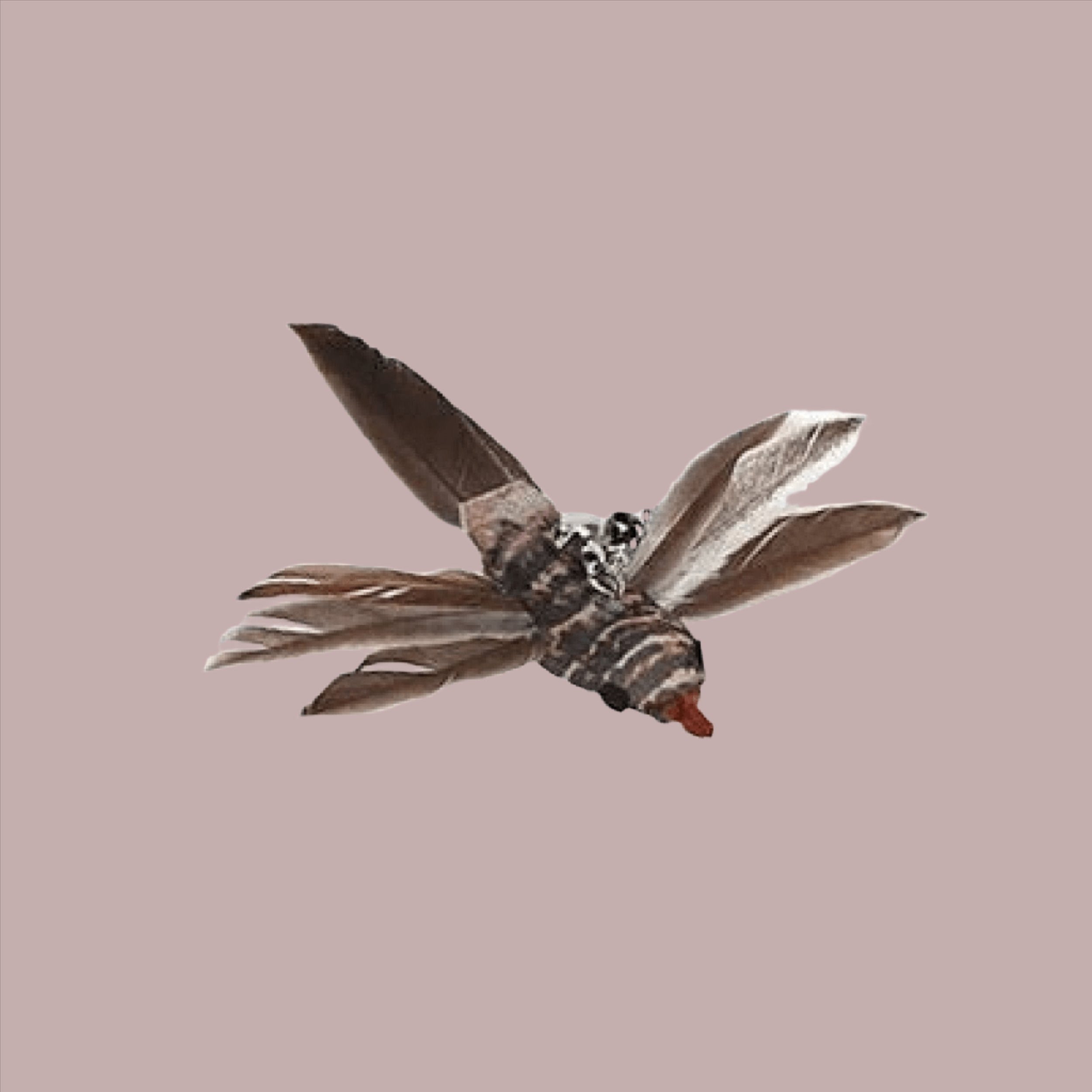 Mother Of Bengals, Brown Bird Feather Wand refill Mother of Bengals