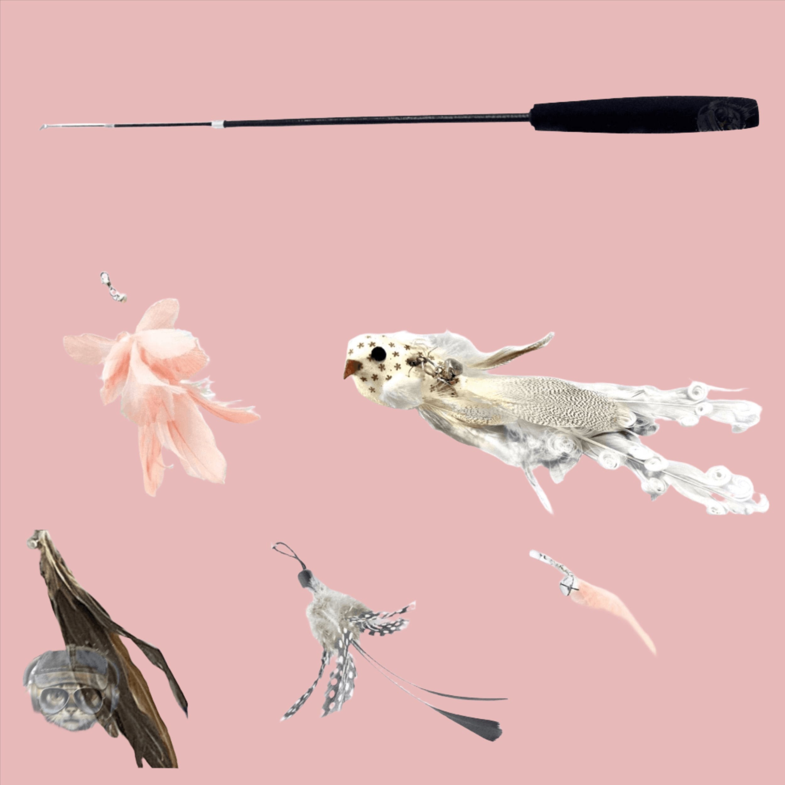 Mother Of Bengals, Golden Oriole, 6 piece Feather & Cat Wand Teaser Set Bundle Mother of Bengals Wand & Refill, 6 pc