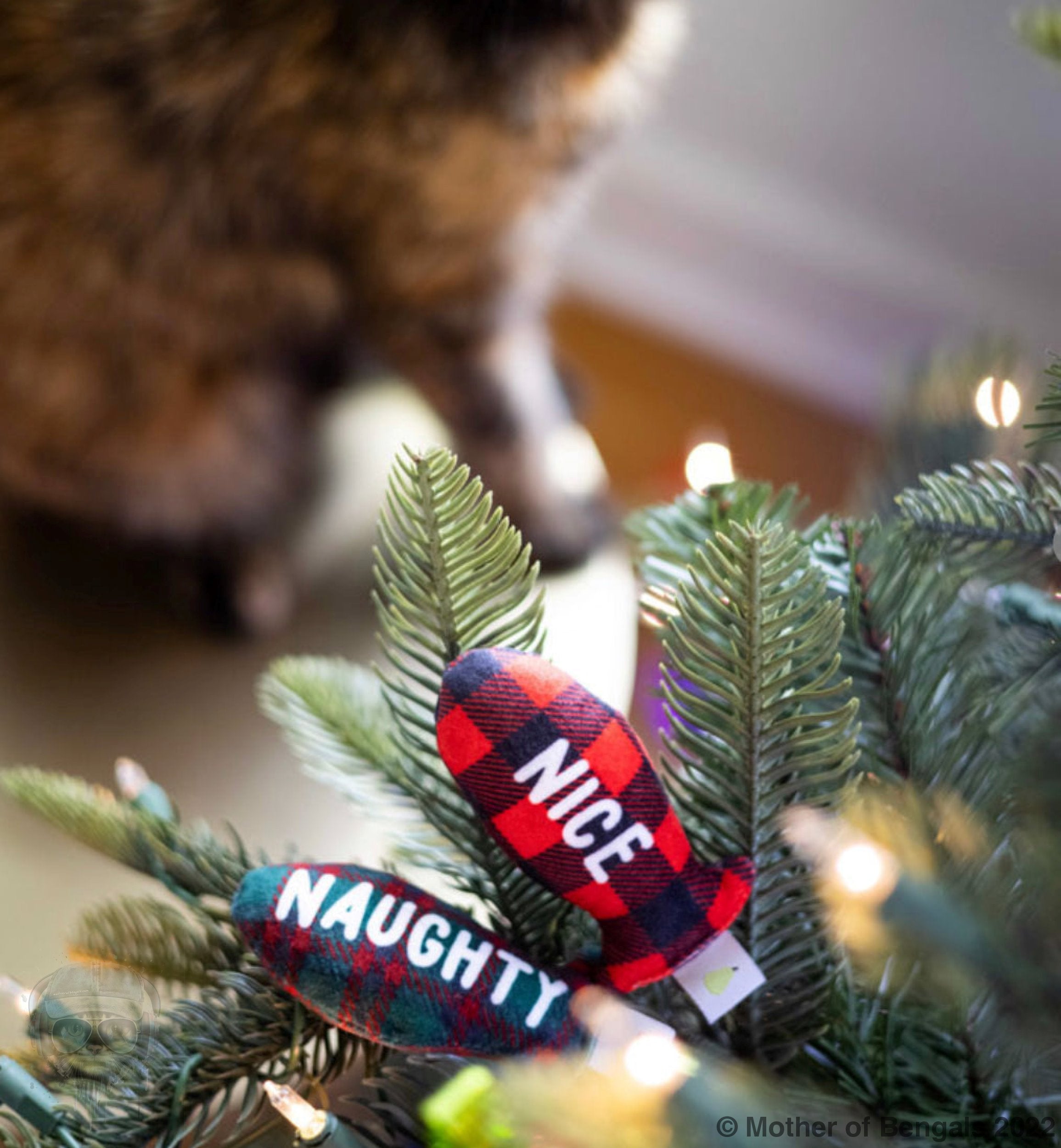 Naughty or Nice? Catnip Toy By Pearhead Pearhead