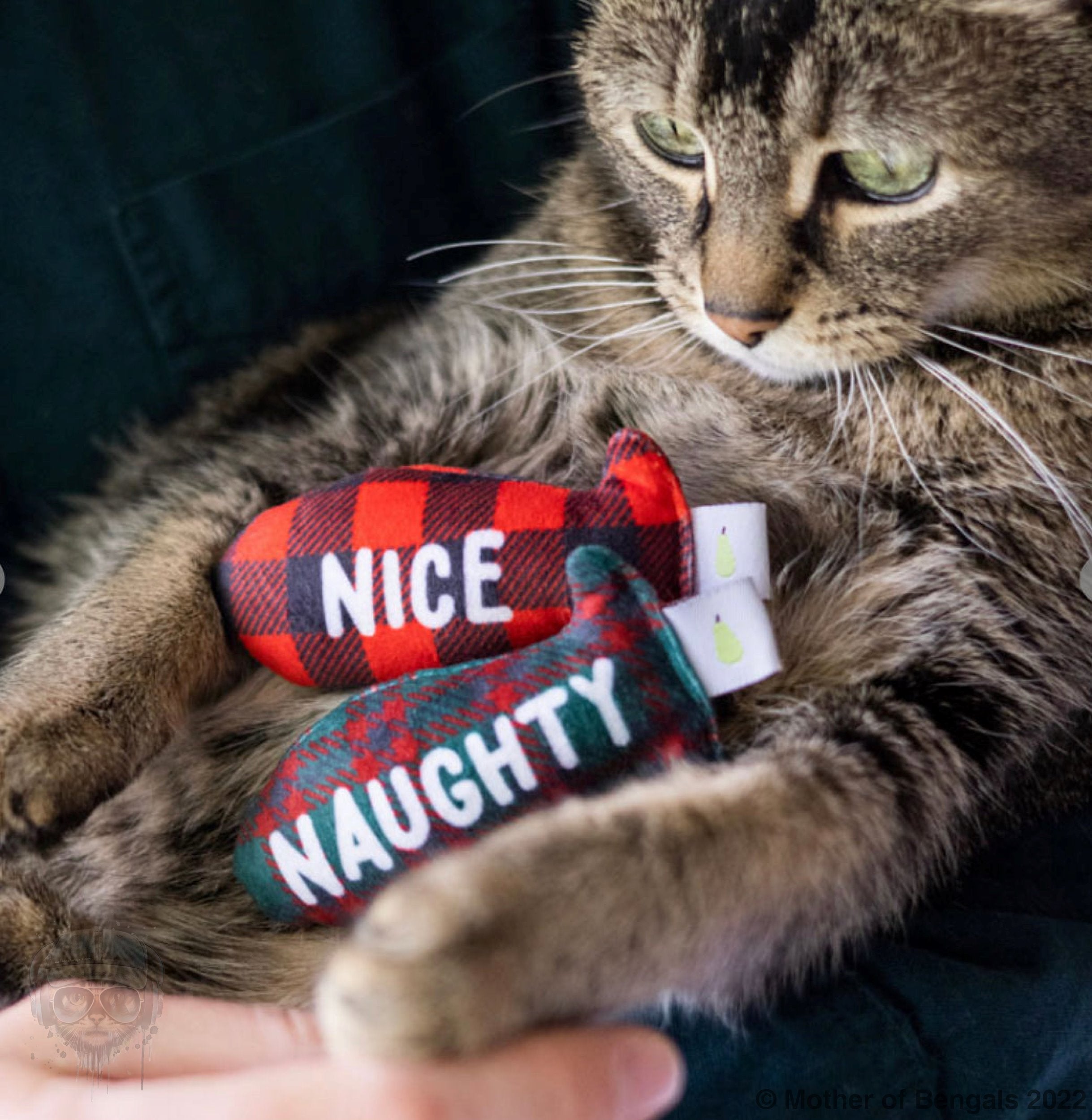 Naughty or Nice? Catnip Toy By Pearhead Pearhead