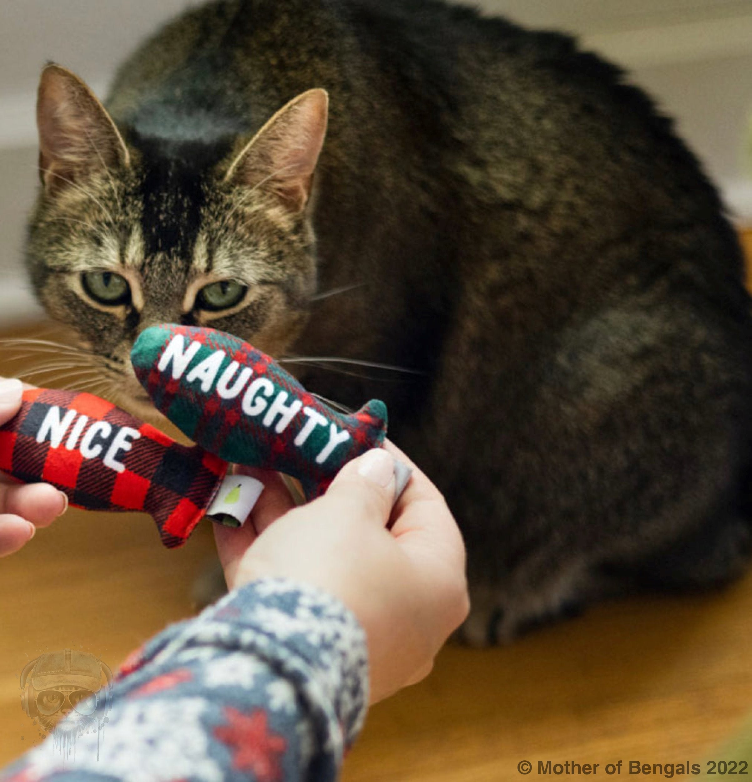 Naughty or Nice? Catnip Toy By Pearhead Pearhead