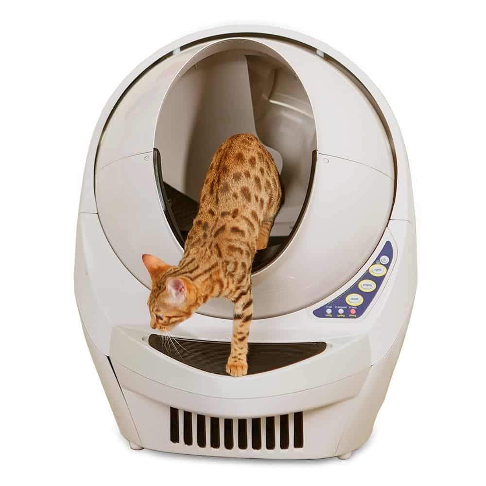 Should I get a litter robot?