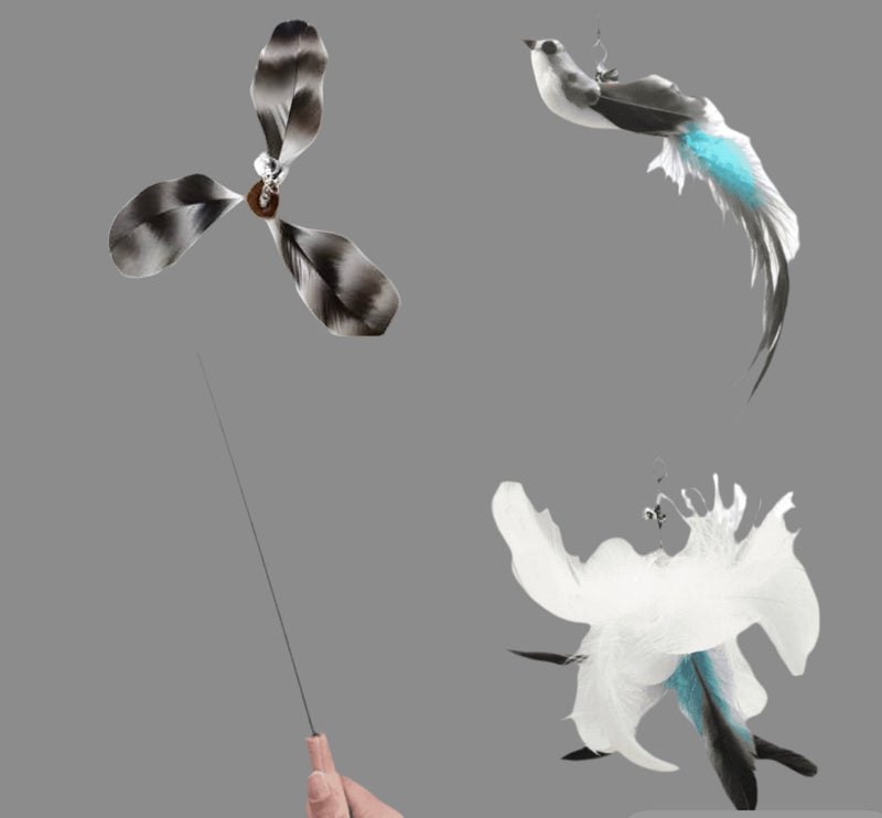 Furprize!, Turquoise 4 pc Bird Cat Refill & Wand Teaser Set🦁