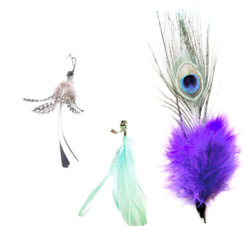 Furprize! Peacock, 3 piece Feather Wand Teaser Refill Set